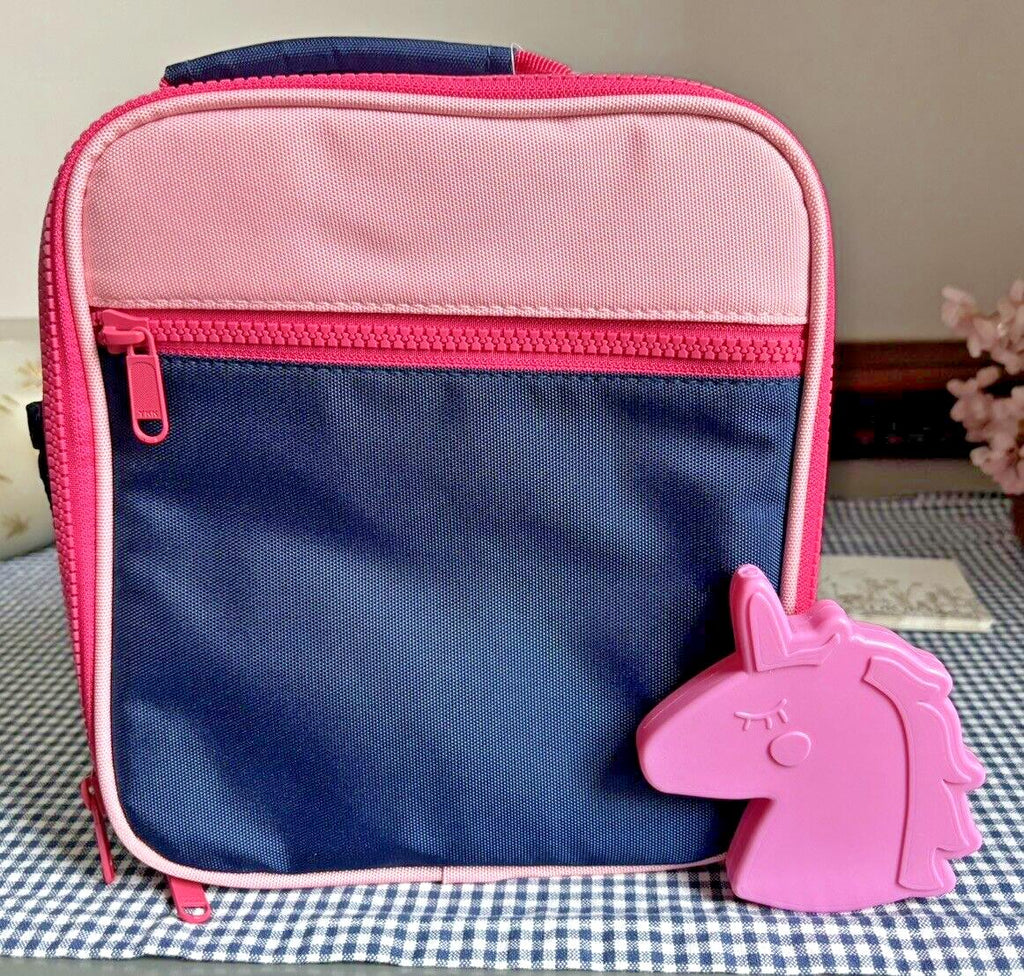 Pottery Barn LUNCH BOX BAG school Disney Rainbow Disney bag pink gift stripe