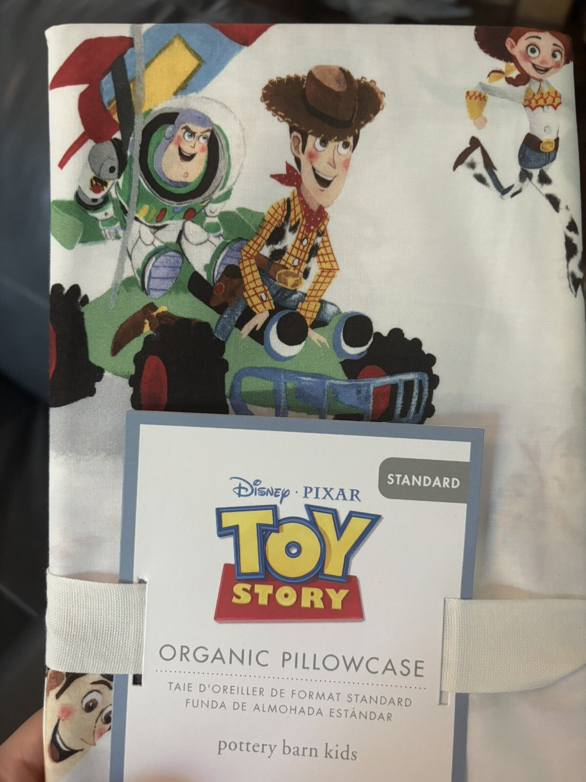 Pottery barn kids TOY STORY Disney pillowcase school Woody Buzz Lightyear Boy y