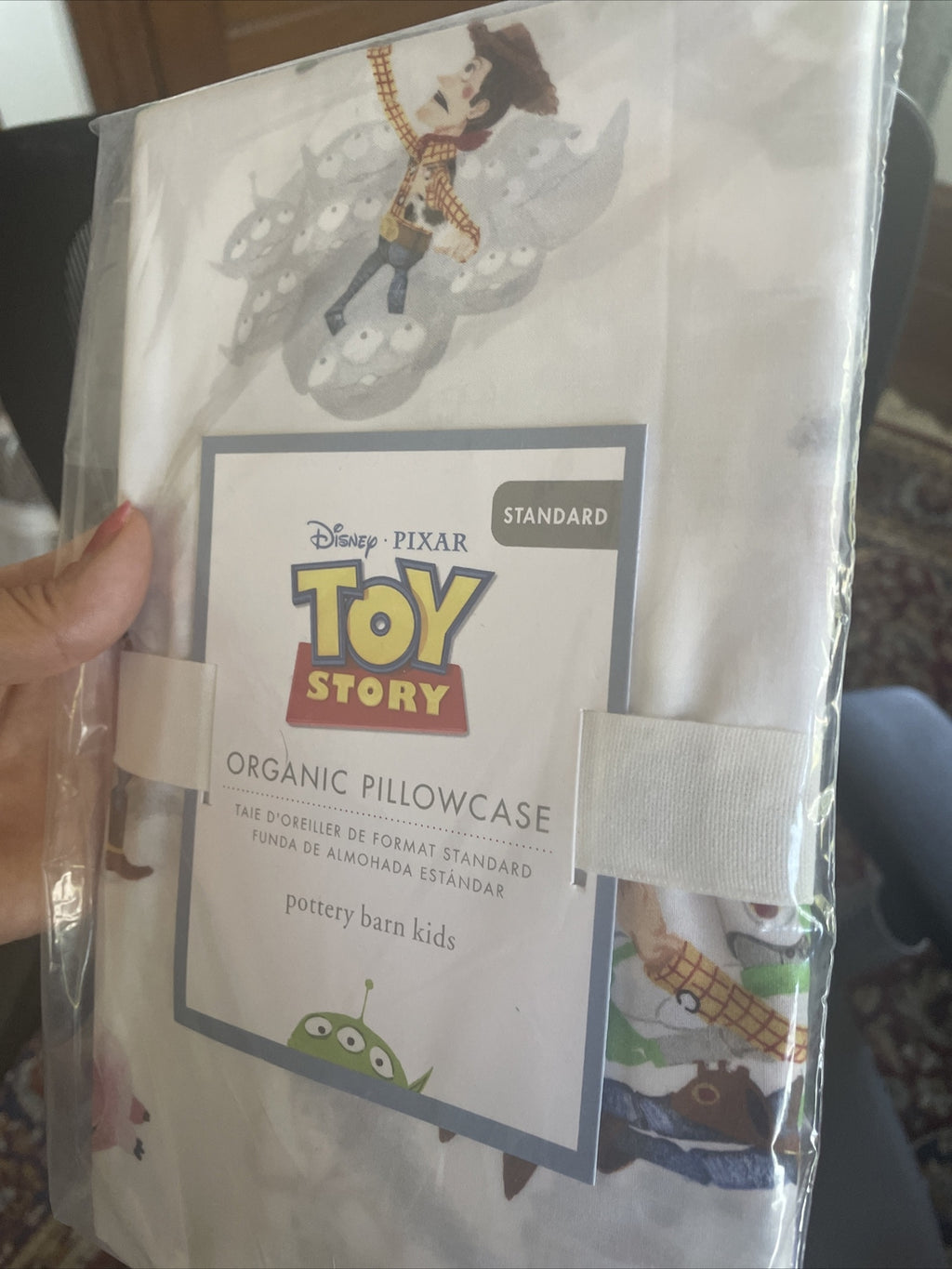 Pottery barn kids TOY STORY Disney pillowcase school Woody Buzz Lightyear Boy y