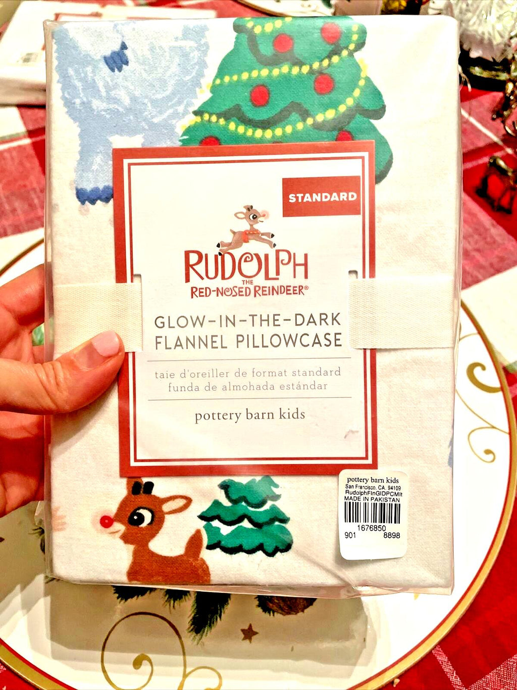 Pottery Barn holiday Rudolph Reindeer Bumble Santa Christmas pillowcase disney "