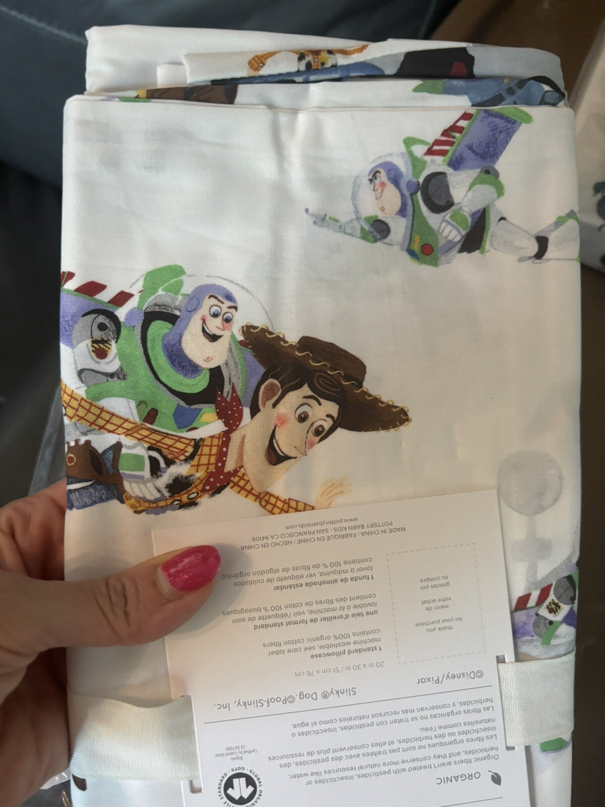 Pottery barn kids TOY STORY Disney pillowcase school Woody Buzz Lightyear Boy y
