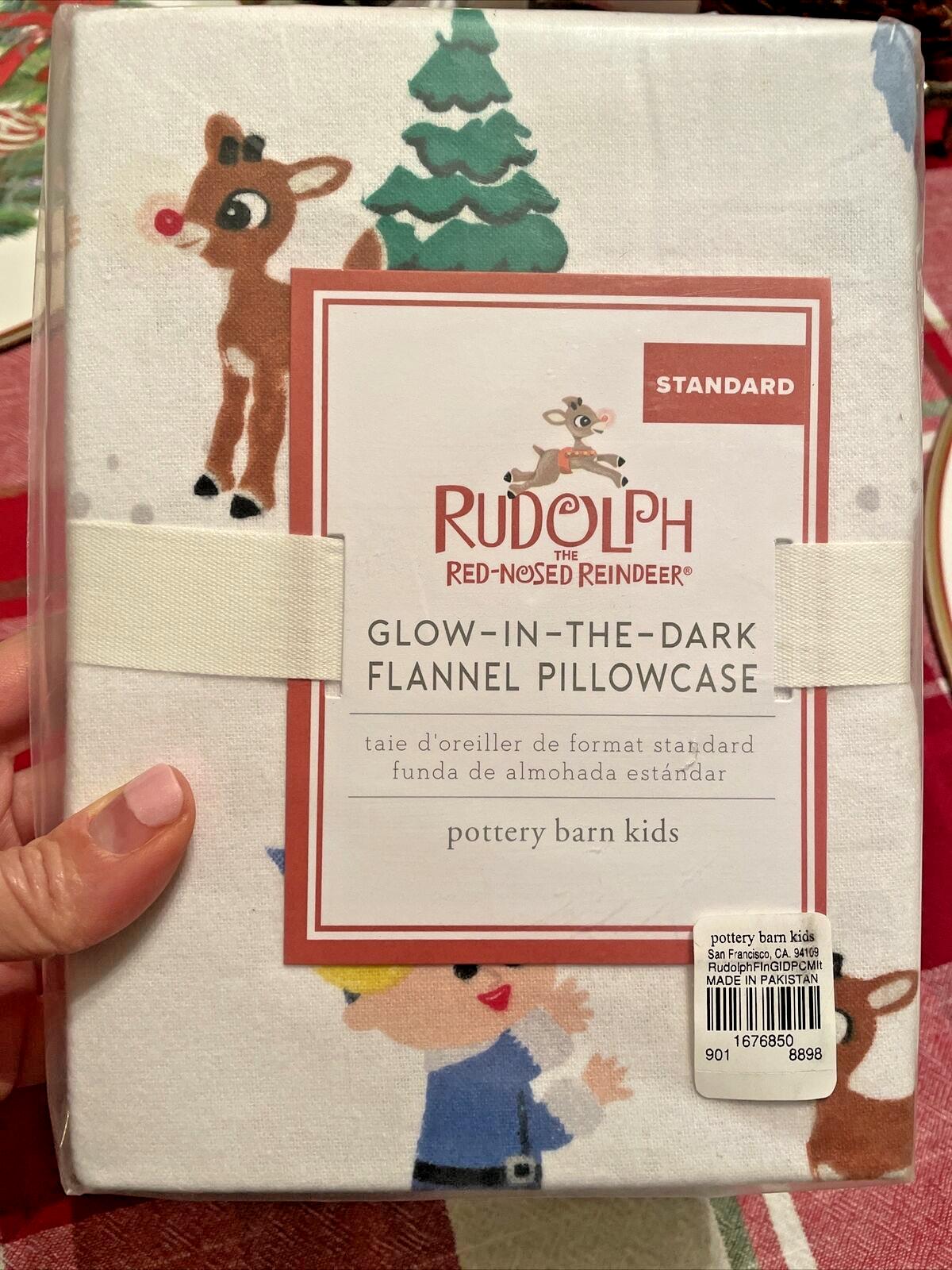 Pottery Barn holiday Rudolph Reindeer Bumble Santa Christmas pillowcase disney "