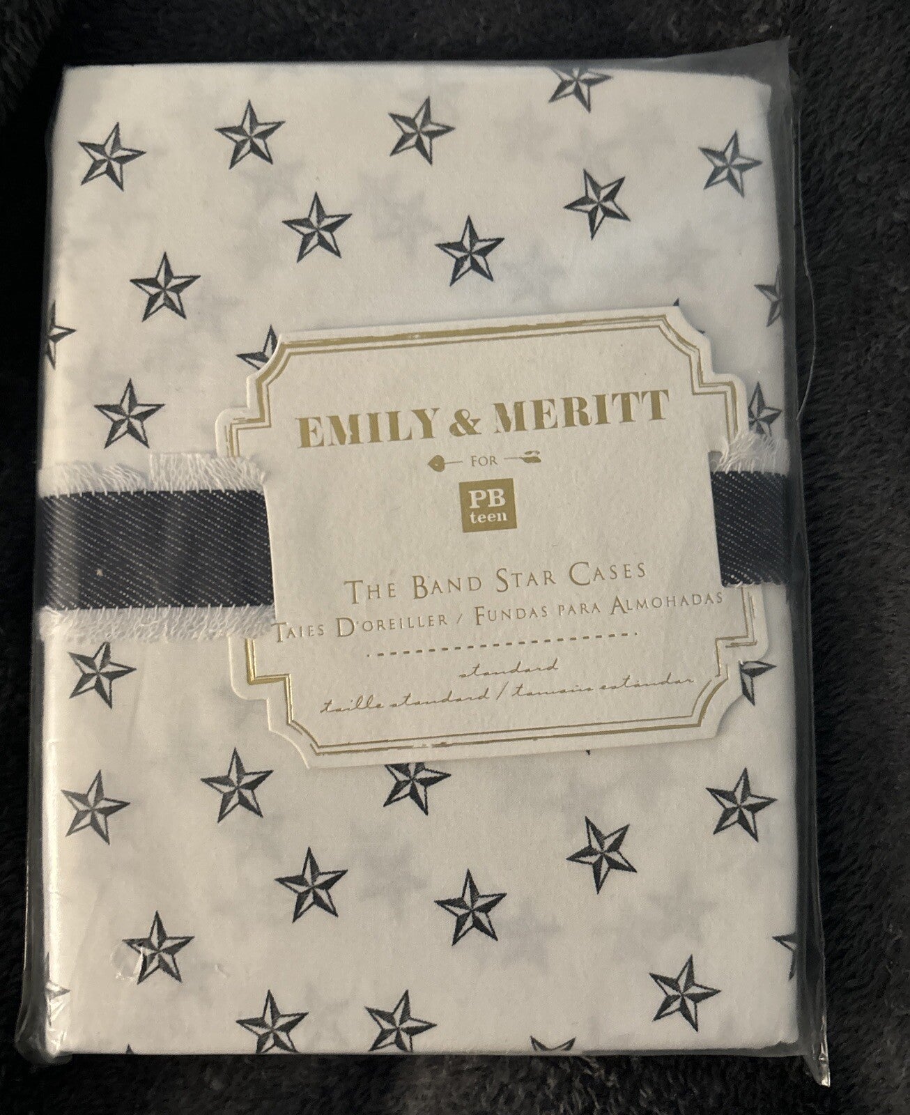 pottery barn holiday Emily Meritt pillowcase star space Christmas kid Gift SET y