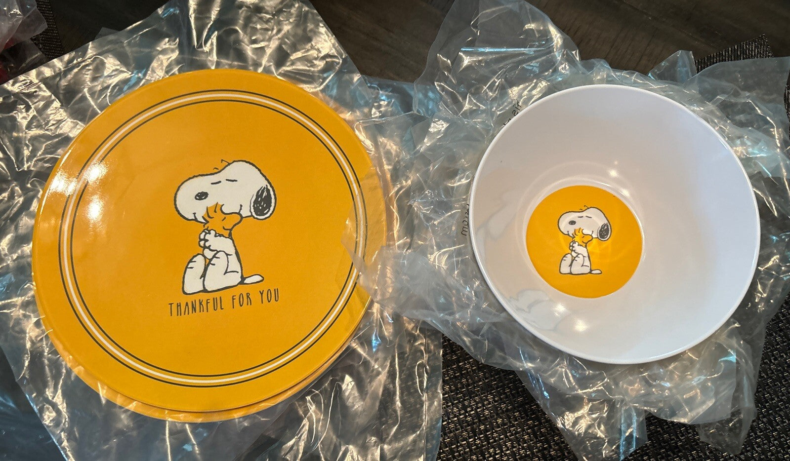 Pottery Barn Kid Disney Peanuts Snoopy Holiday Thanksgiving party ??SET 8 kids =