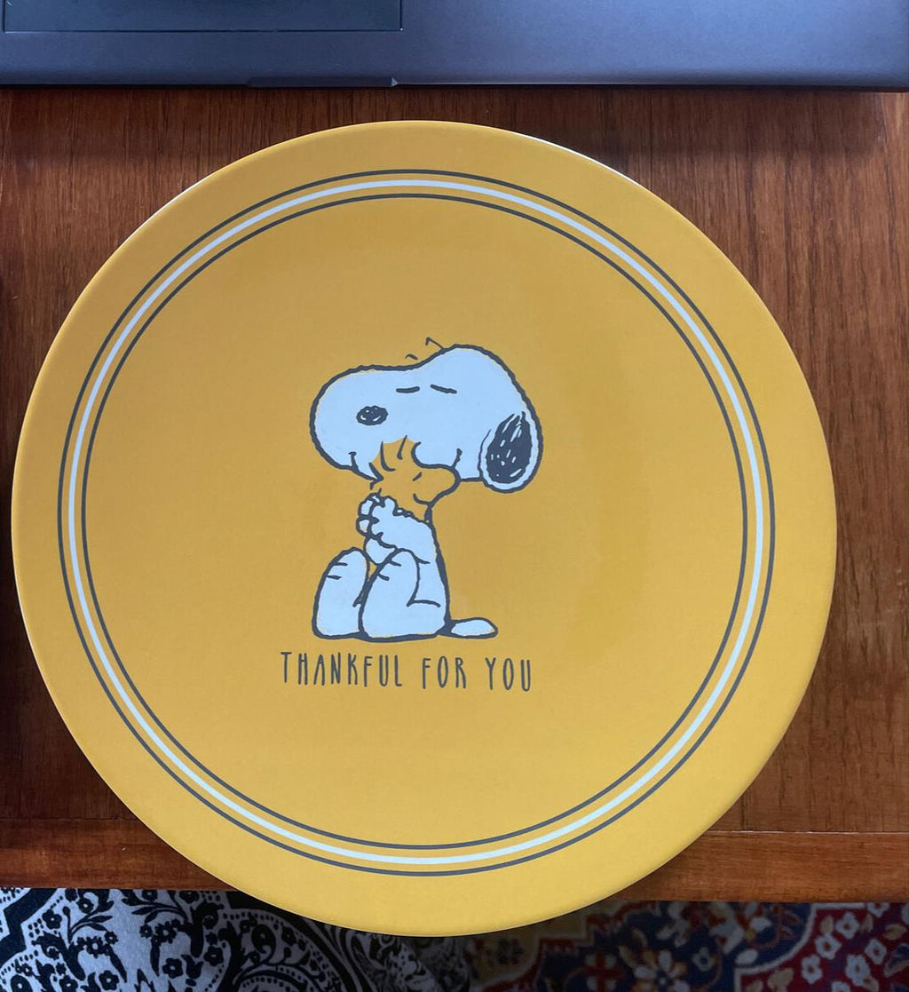 Pottery Barn Kid Disney Peanuts Snoopy Holiday Thanksgiving party ??SET 8 kids =