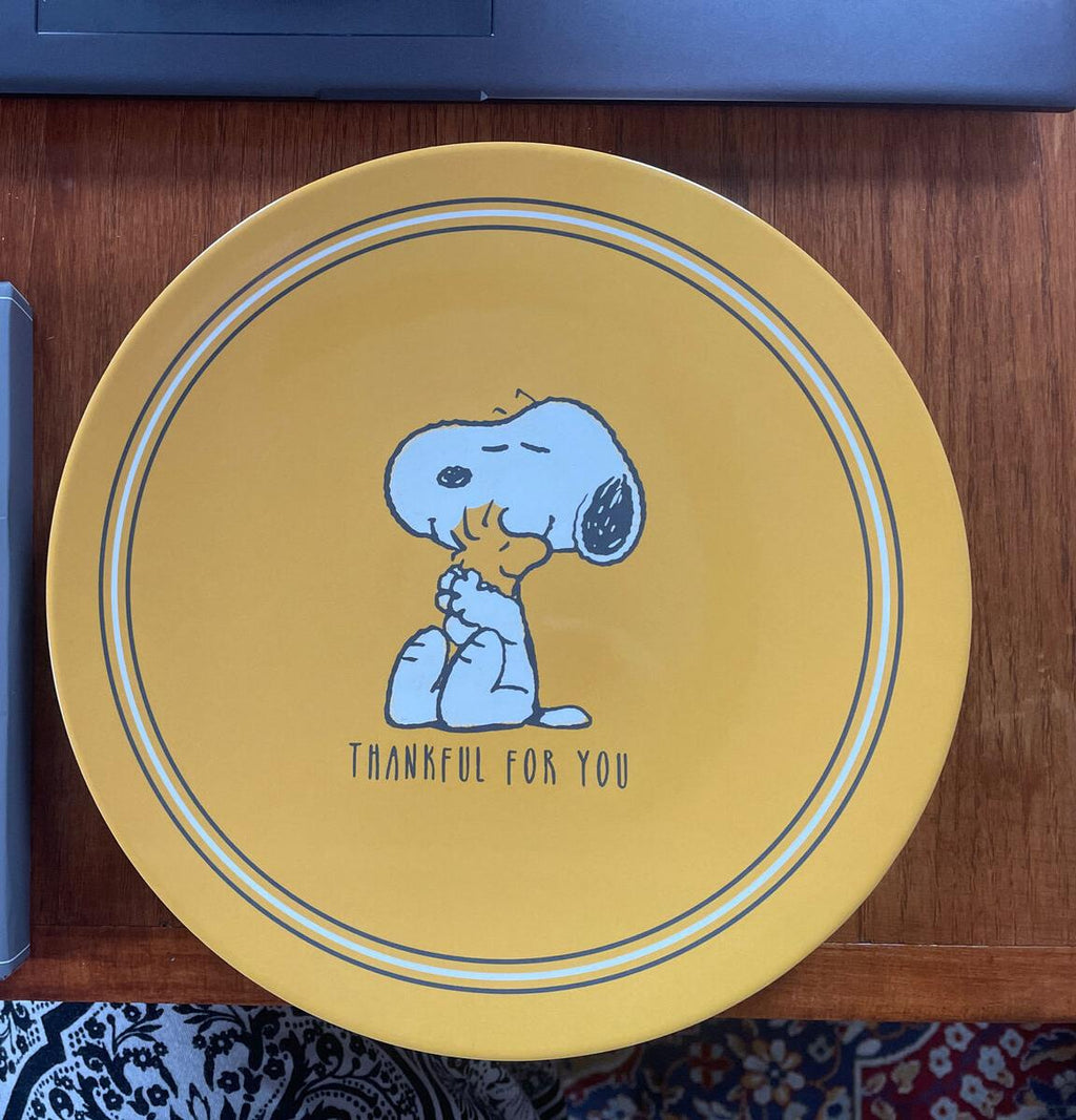 Pottery Barn Kid Disney Peanuts Snoopy Holiday Thanksgiving party ??SET 8 kids =