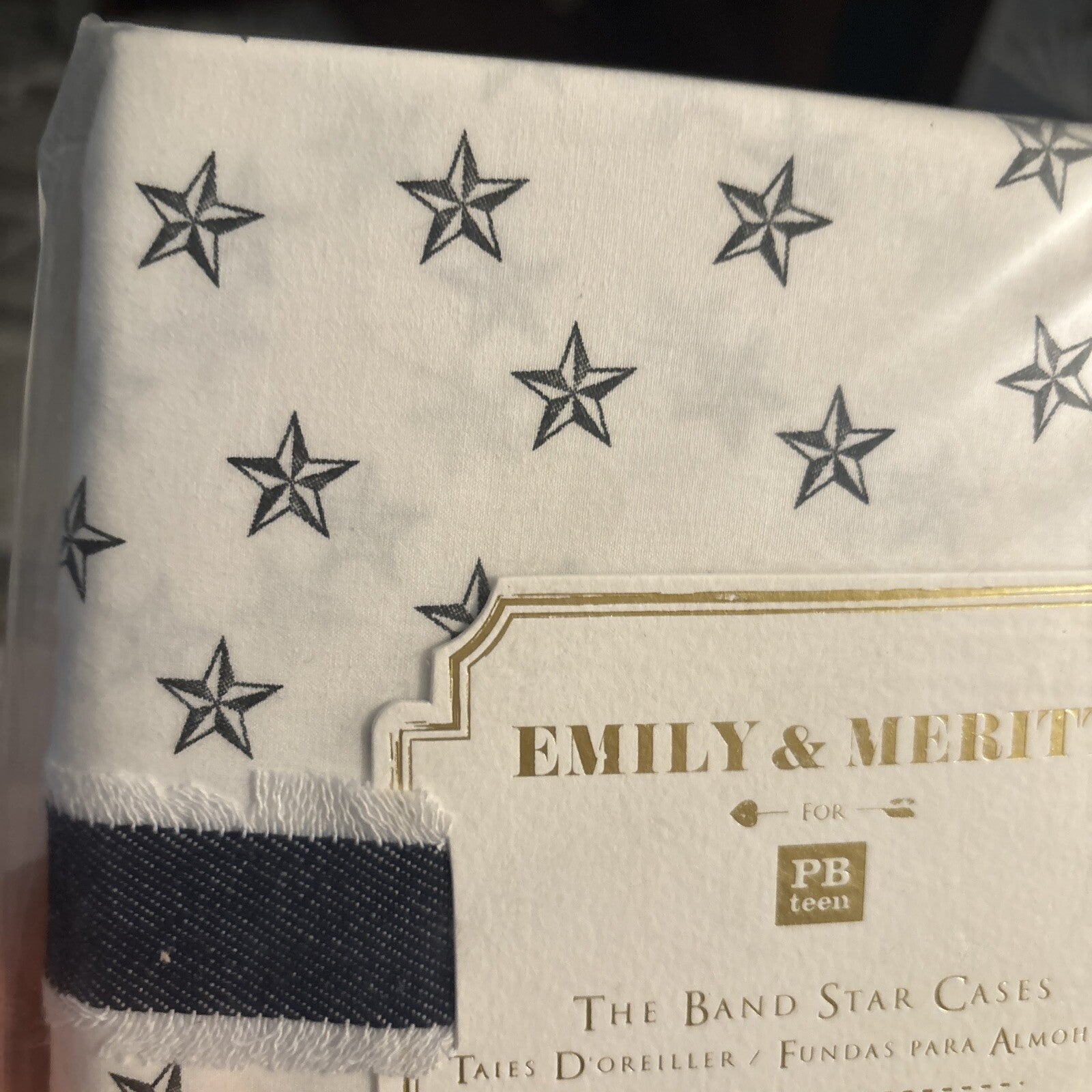 pottery barn holiday Emily Meritt pillowcase star space Christmas kid Gift SET y