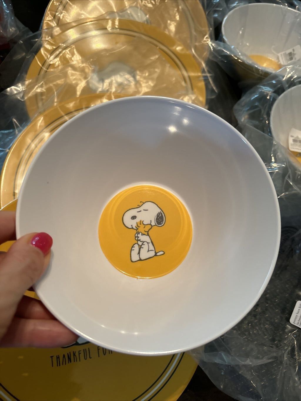 Pottery Barn Kid Disney Peanuts Snoopy Holiday Thanksgiving party ??SET 8 kids =