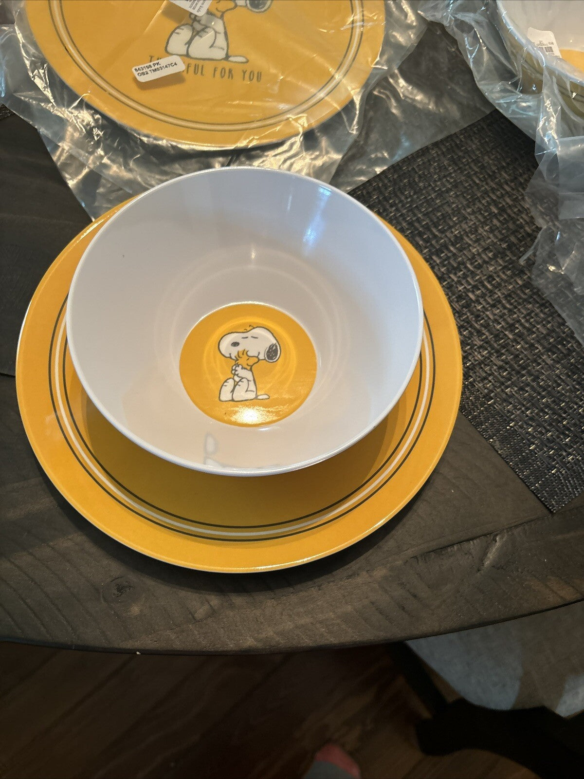 Pottery Barn Kid Disney Peanuts Snoopy Holiday Thanksgiving party ??SET 8 kids =