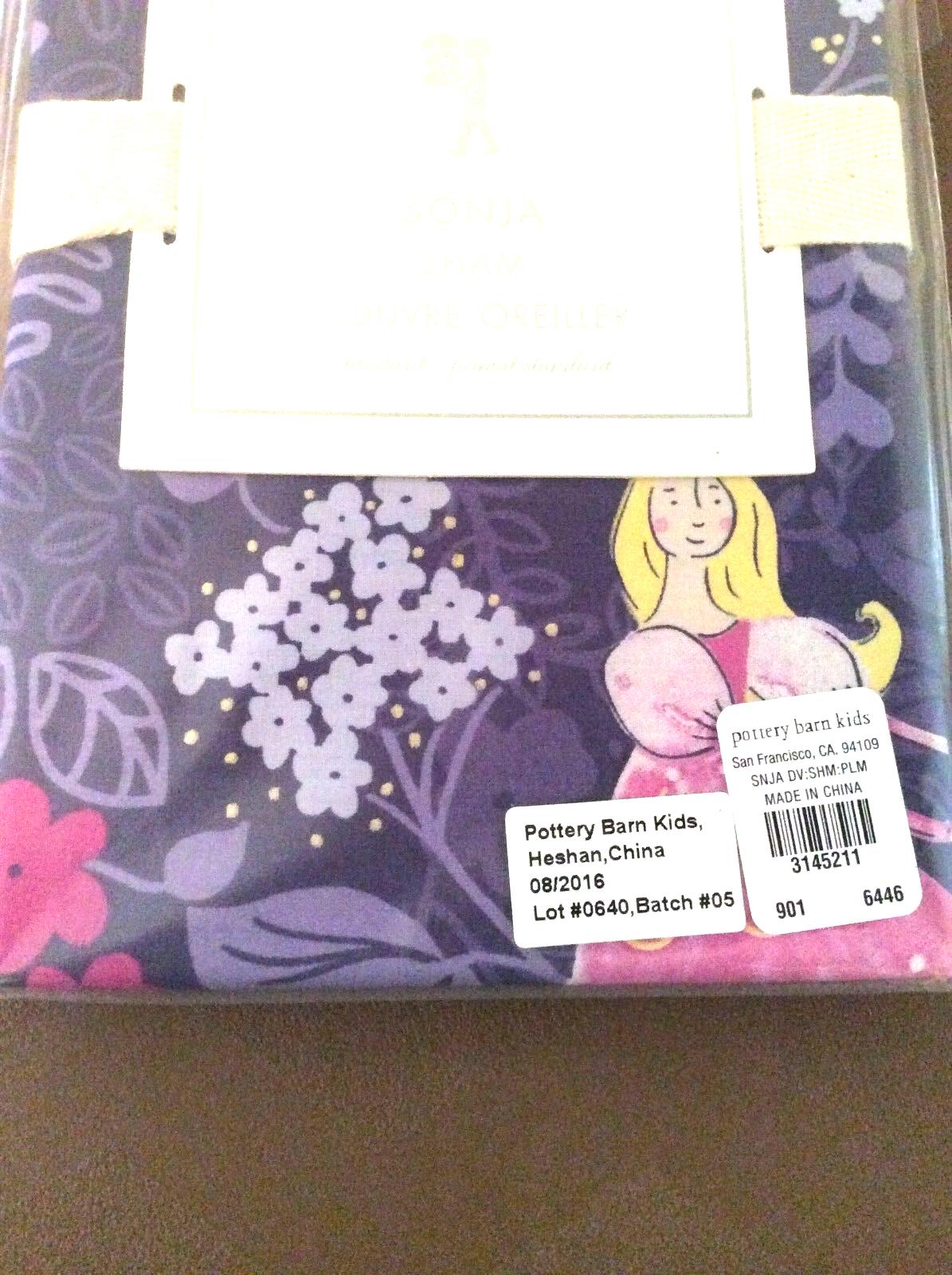Pottery Barn Disney Pillow Sham Princess Holiday party gift school Girl Kids a