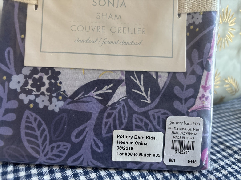 Pottery Barn Disney Pillow Sham Princess Holiday party gift school Girl Kids a