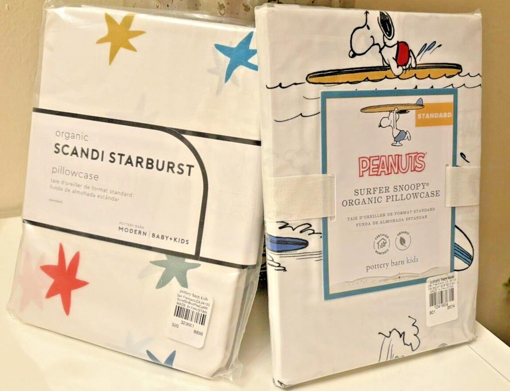 Pottery Barn Snoopy School peanuts Holiday Disney superhero cartoon SET kids =
