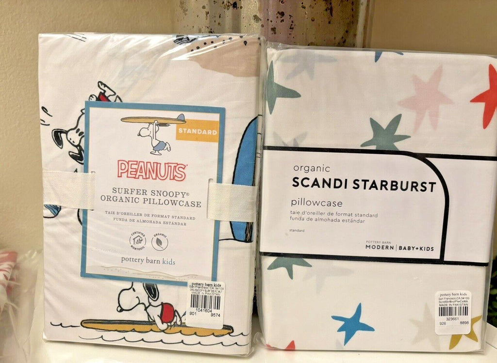 Pottery Barn Snoopy School peanuts Holiday Disney superhero cartoon SET kids =