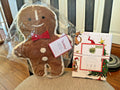Pottery Barn Holiday Gingerbread Grinch Christmas Seuss Disney wool pillow SET h