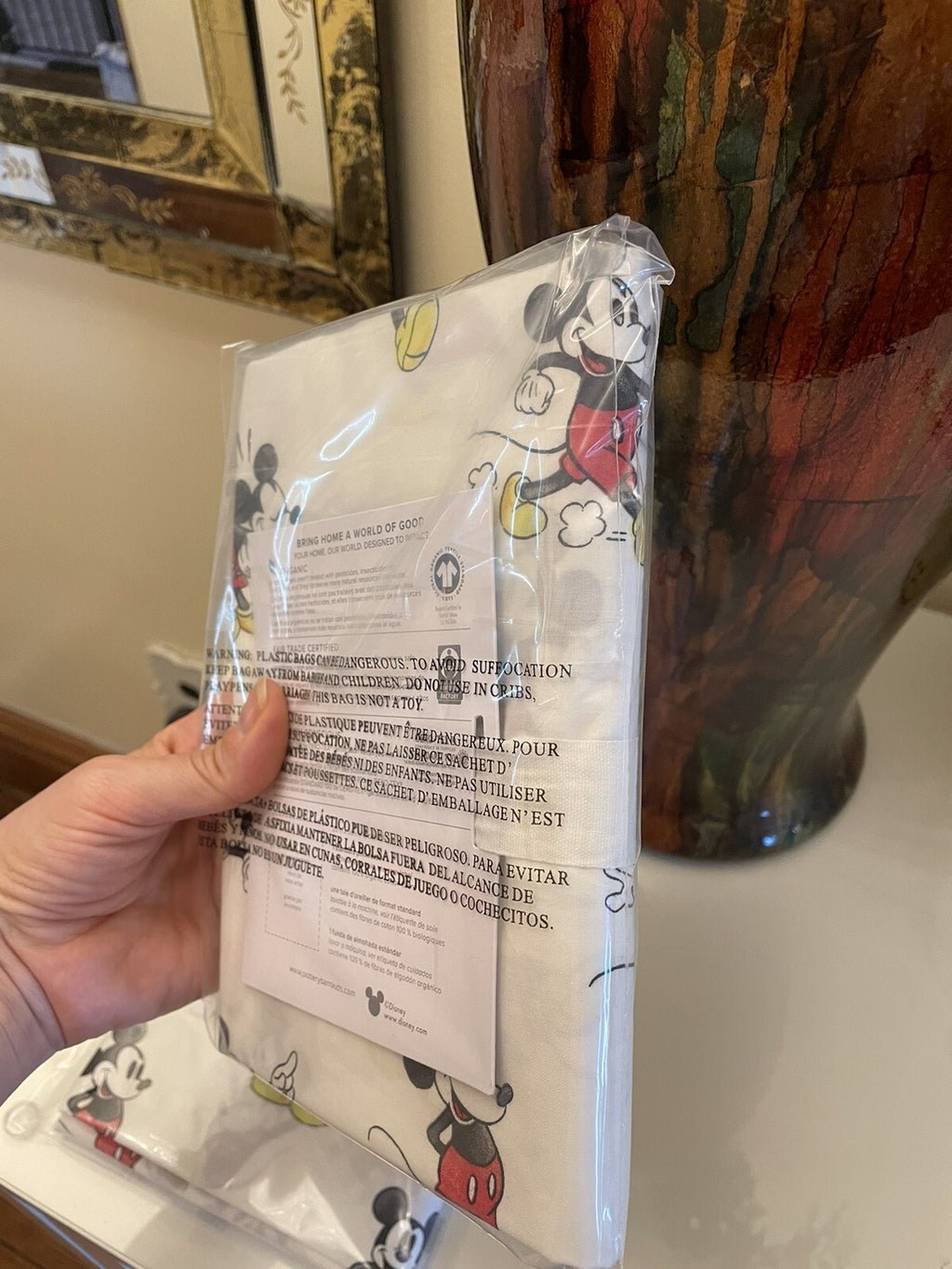 Pottery Barn Disney Mickey Mouse holiday gift party school park travel kid n