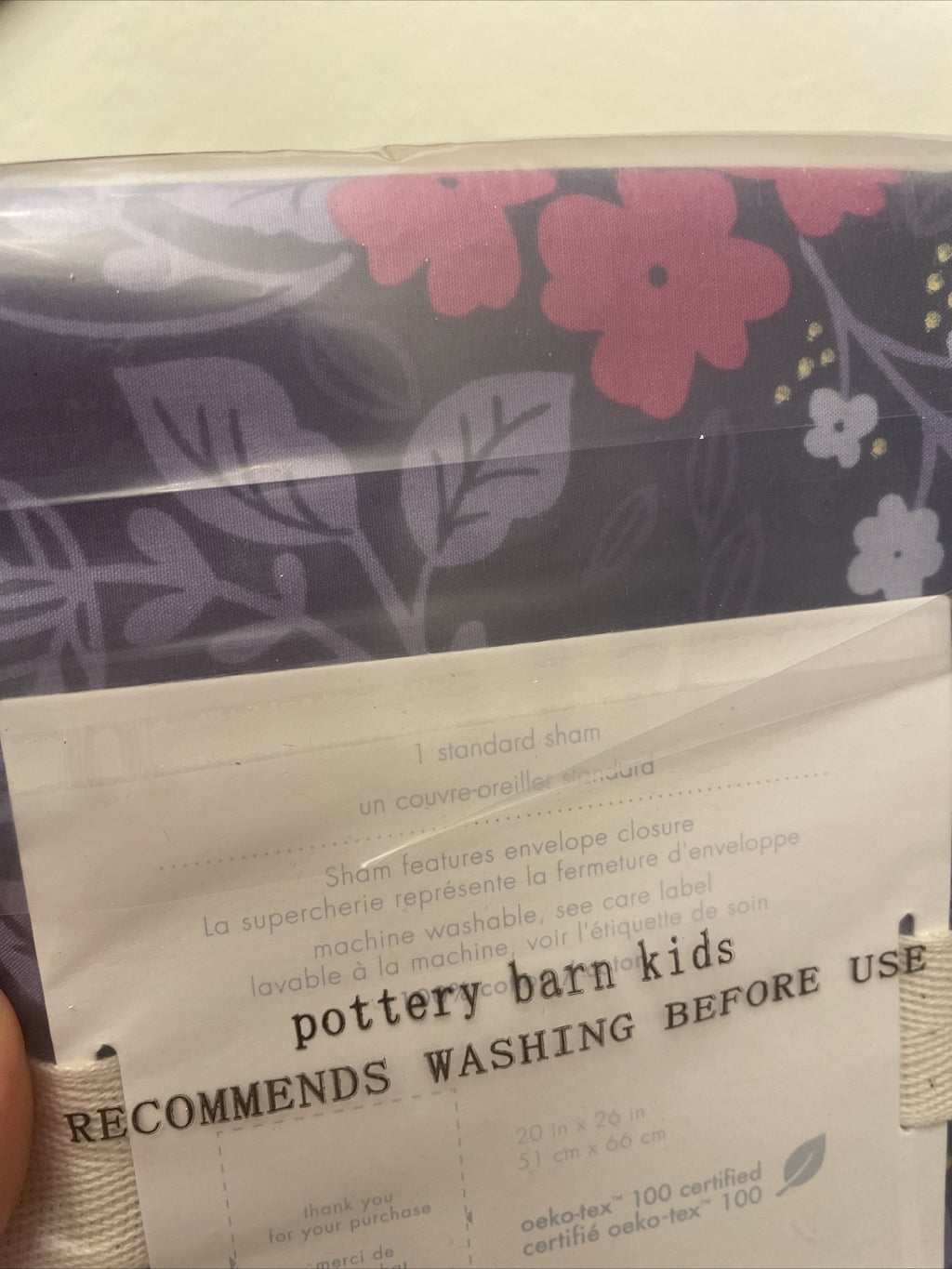Pottery Barn Disney Pillow Sham Princess Holiday party gift school Girl Kids a