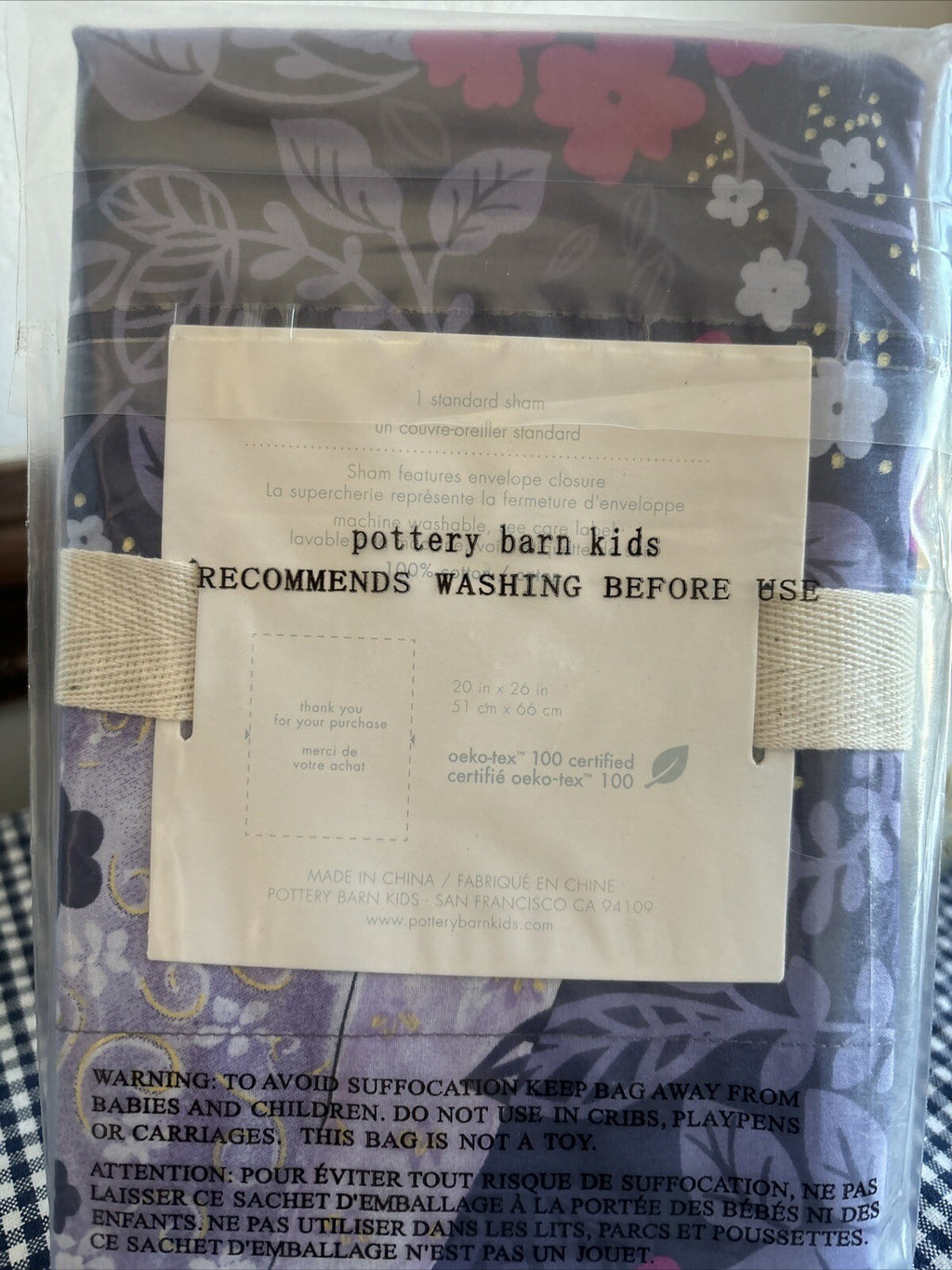 Pottery Barn Disney Pillow Sham Princess Holiday party gift school Girl Kids a