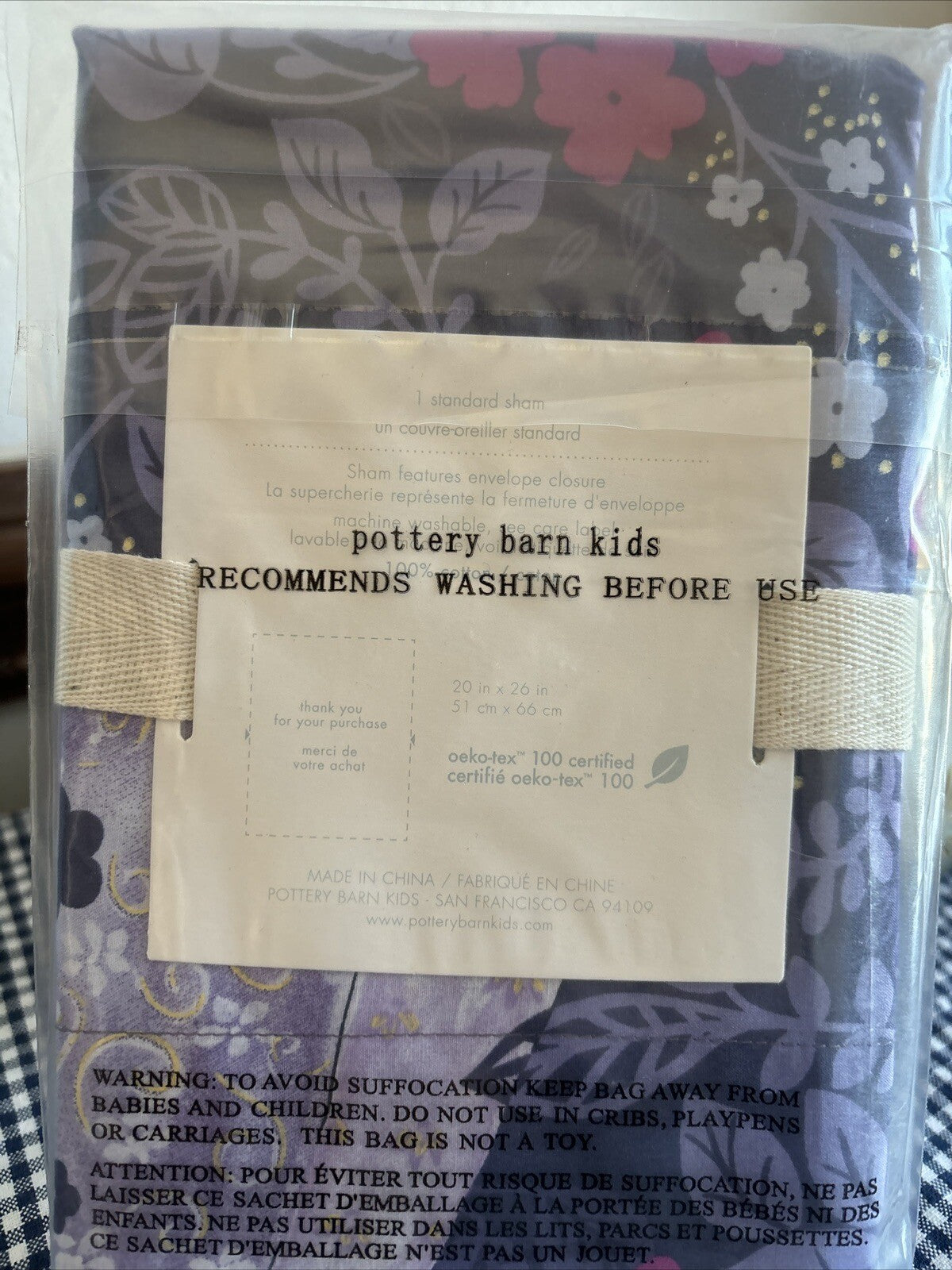 Pottery Barn Disney Pillow Sham Princess Holiday party gift school Girl Kids a
