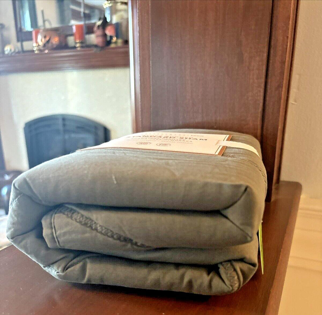 Pottery Barn Grinch Christmas holiday Seuss Disney Bed Gift Max Dog kid SET 2 [