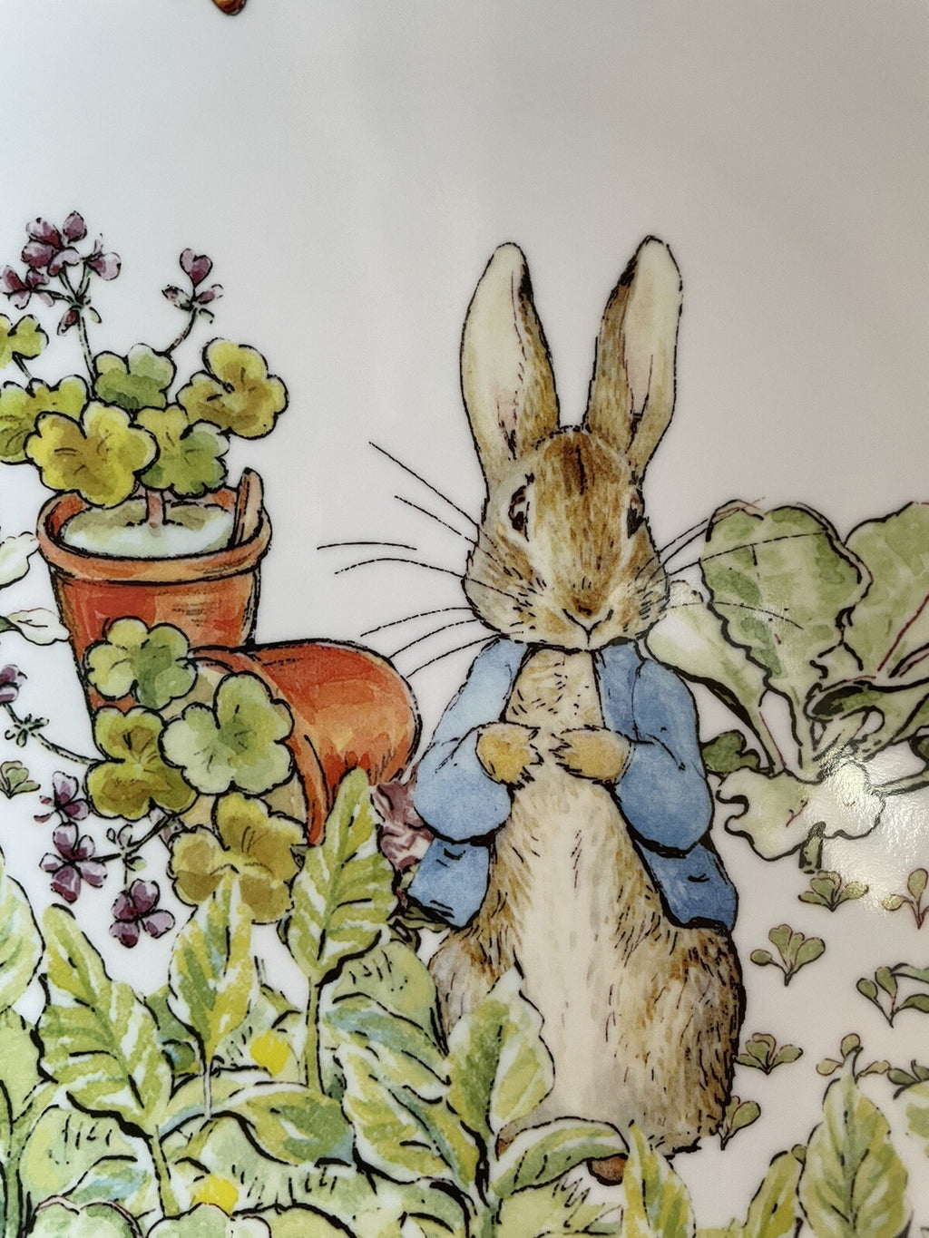 Pottery Barn Disney Plate Peter rabbit Easter holiday Bunny gift school kid -