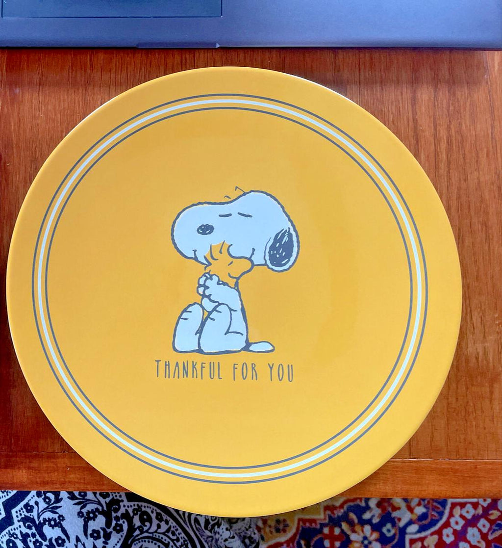 Pottery Barn Holiday Snoopy Peanuts party Disney School Dinner Gift SET kids  a