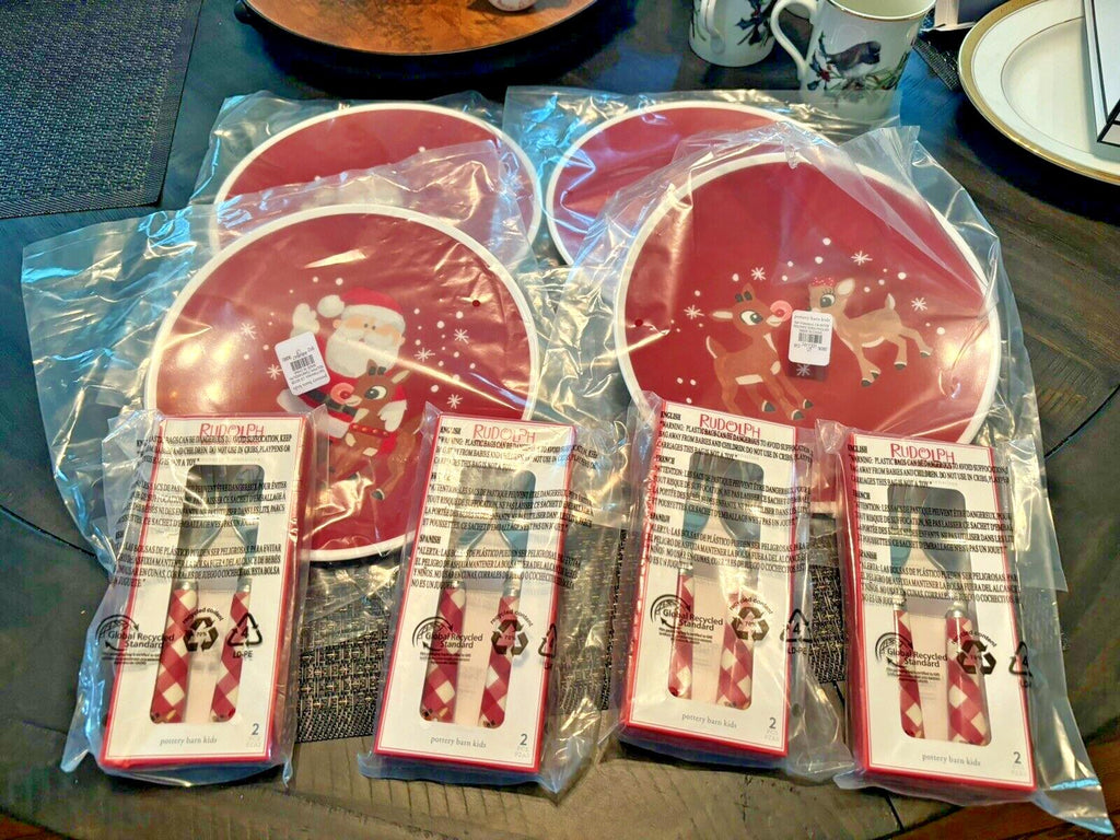 Pottery Barn holiday Christmas DINNER SET Plate Rudolph party Santa plaid gift