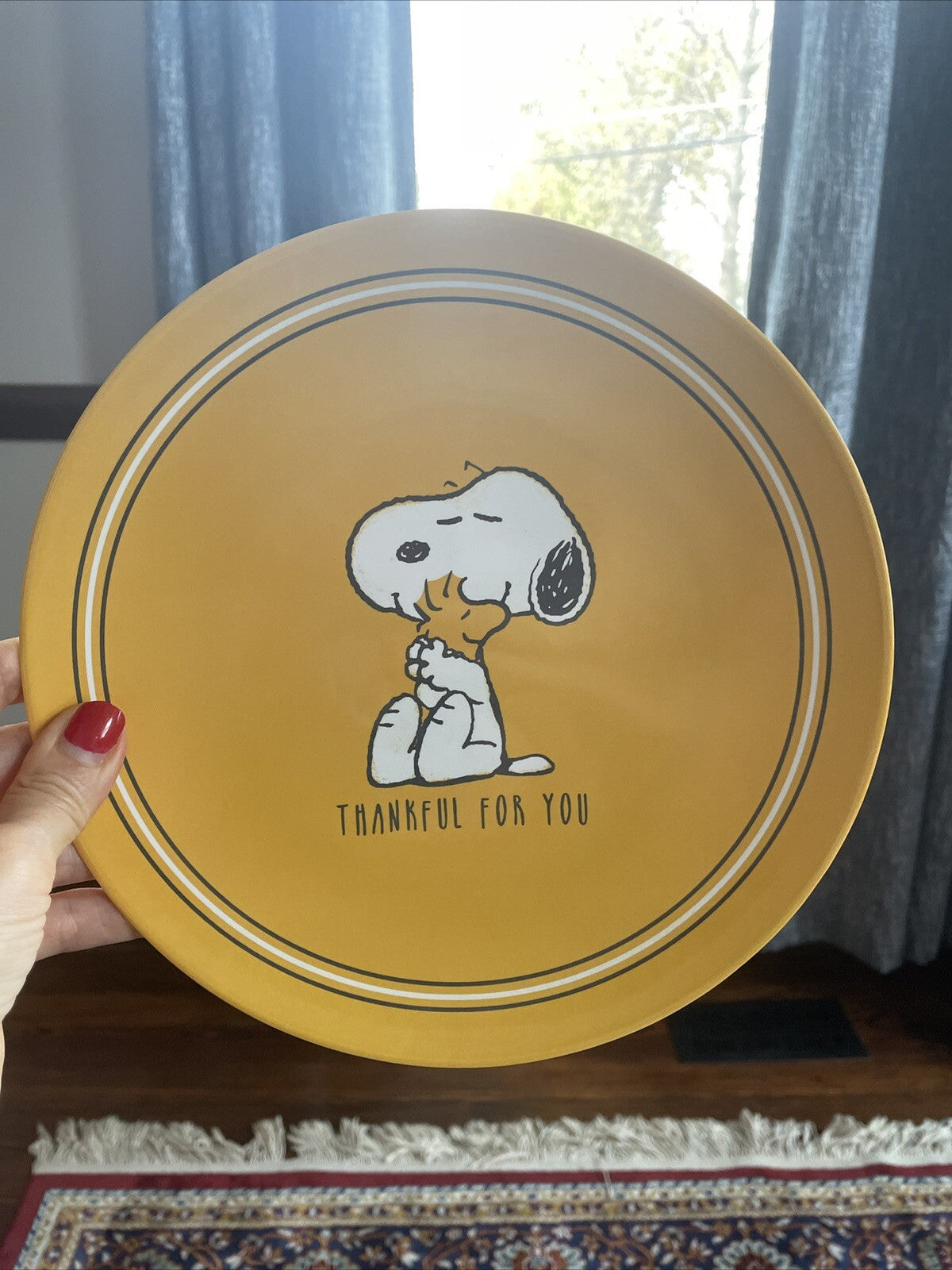 Pottery Barn Holiday Snoopy Peanuts party Disney School Dinner Gift SET kids  a