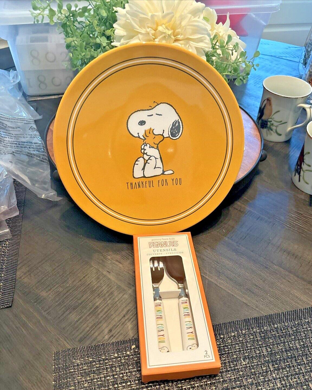 Pottery Barn Holiday Snoopy Peanuts party Disney School Dinner Gift SET kids  a