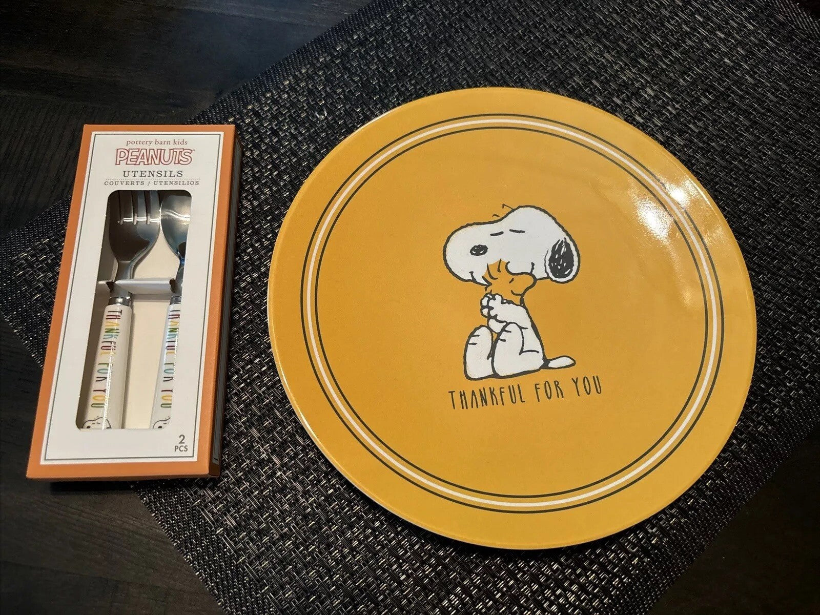 Pottery Barn Holiday Snoopy Peanuts party Disney School Dinner Gift SET kids  a