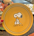 Pottery Barn holiday Thanksgiving Snoopy Peanuts party Disney dinner plate kid `