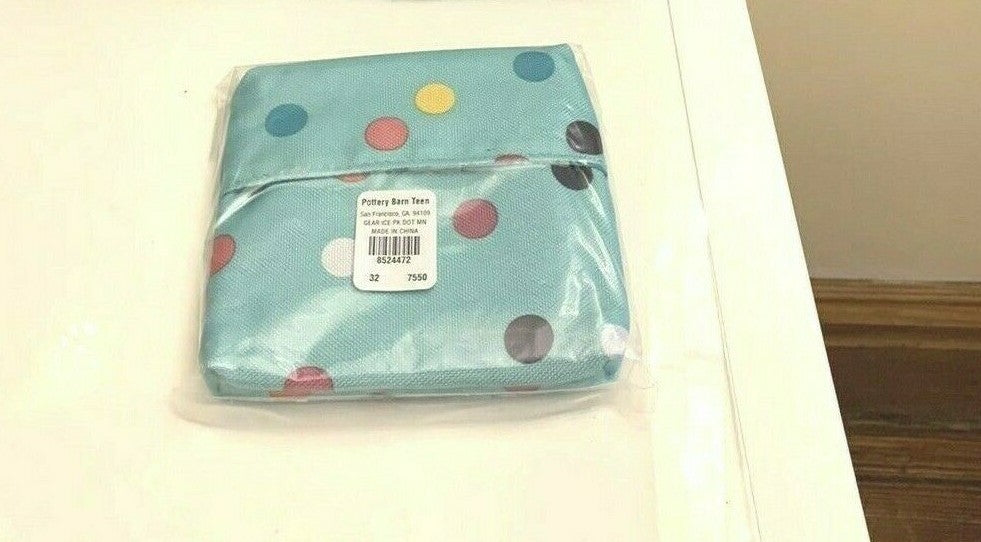 school Pottery Barn Bag Disney gift ice pack bag girl gift lunch holiday teen /
