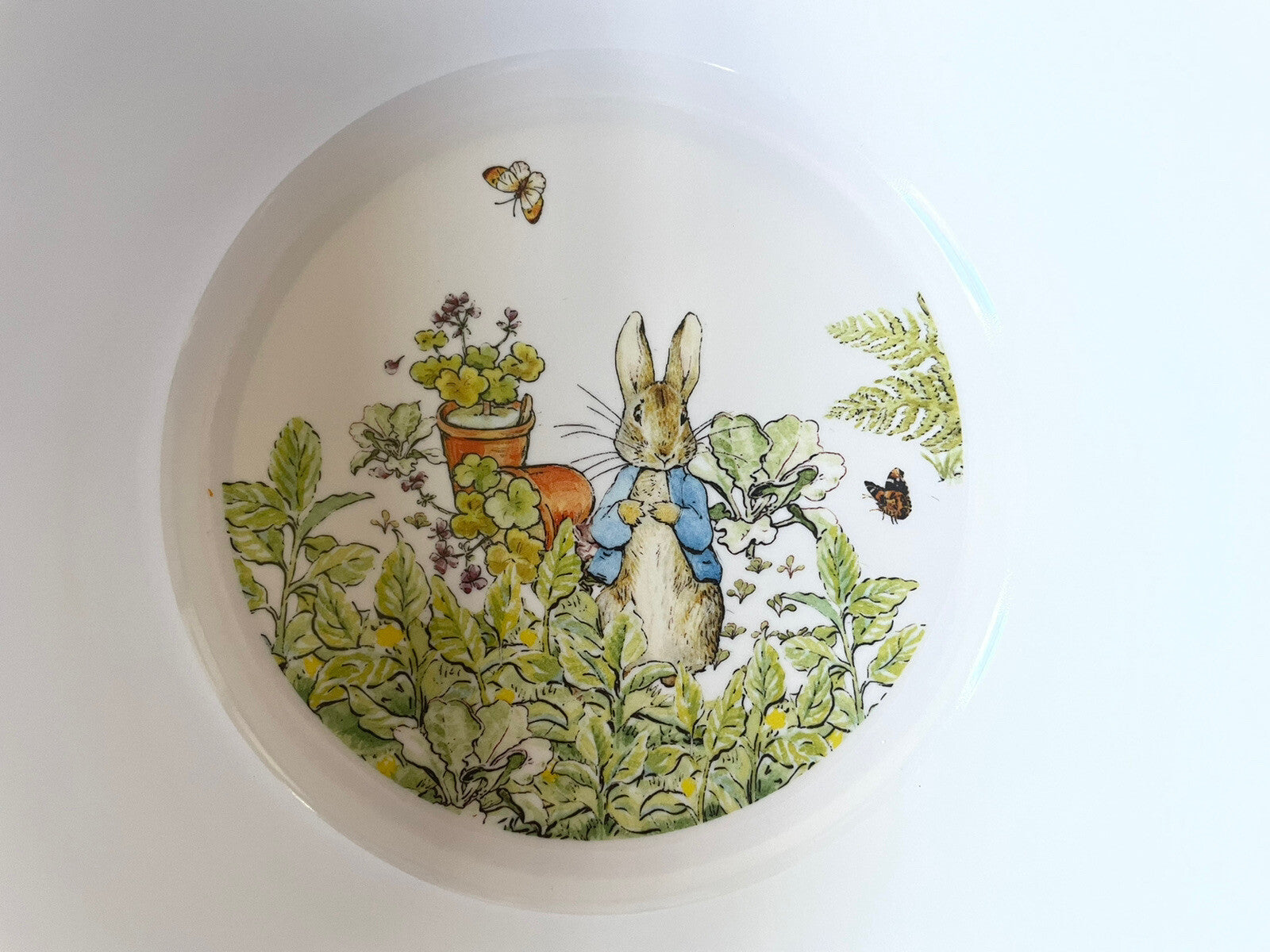 Disney Pottery Barn Bowl Peter rabbit Easter holiday gift party bunny kid star ]