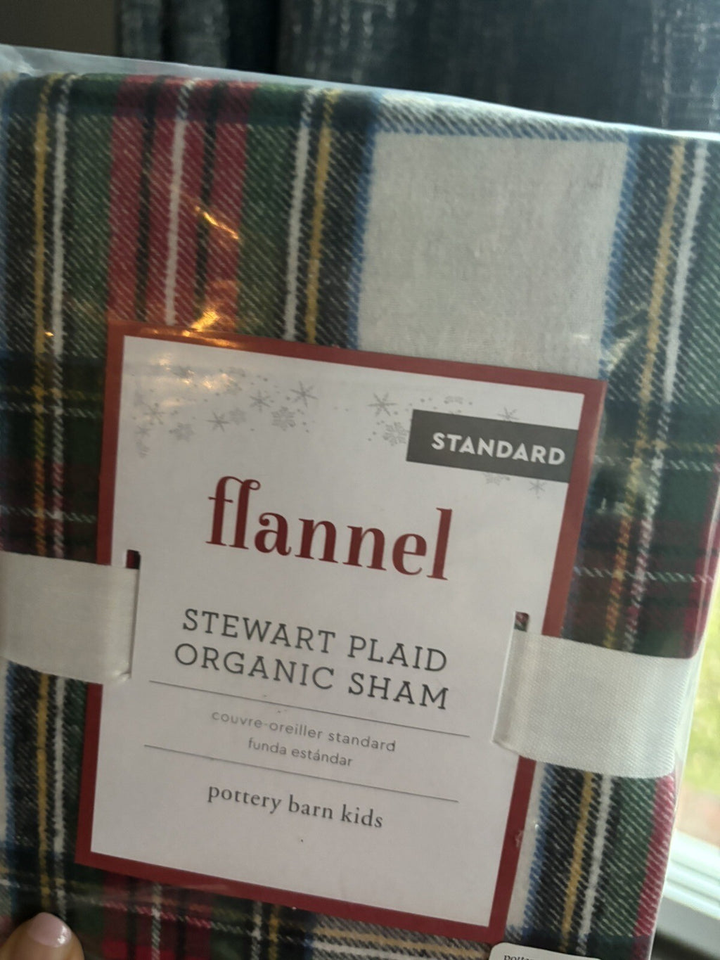 Pottery Barn Disney PLAID Stewart Pillow SHAM + Duvet Christmas gift holiday kid