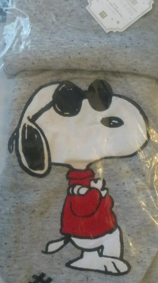 Pottery Barn Holiday Peanuts Snoopy Christmas stocking gift party kid Disney ]