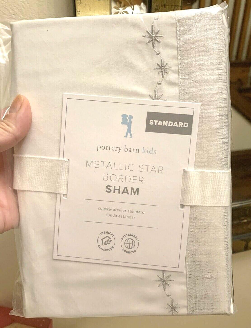 Pottery barn Holiday Christmas princess girl party silver star gift Pillow Sham