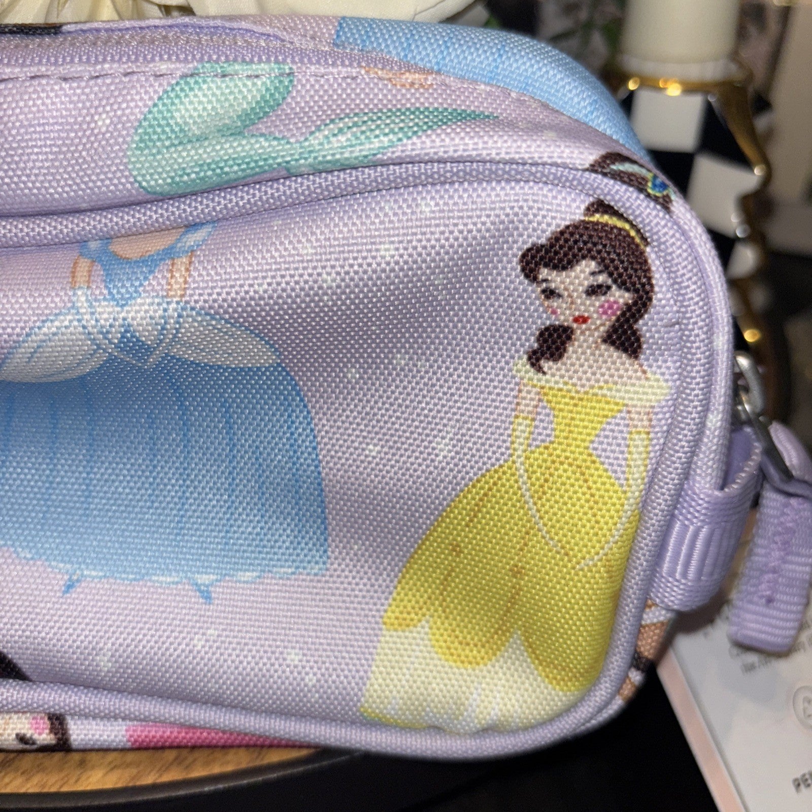Pottery Barn School DISNEY Princess pencil bag gift Cinderella Belle Ariel -
