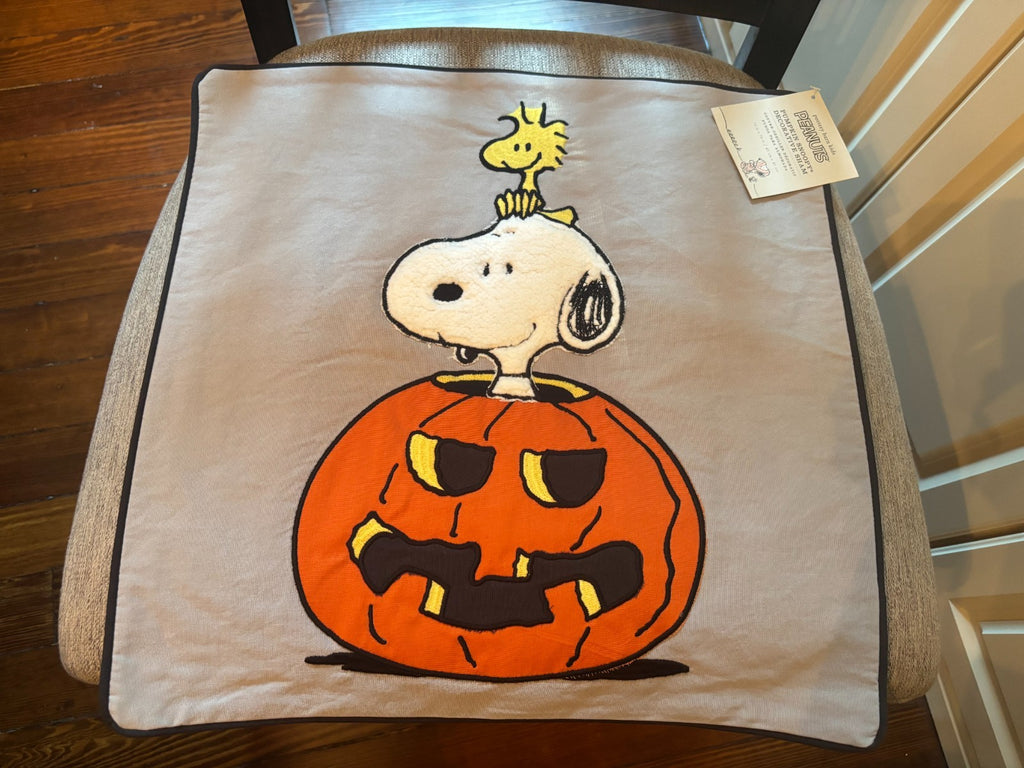 Pottery Barn Holiday Snoopy birthday charlie brown gift pillow sham wedding mom