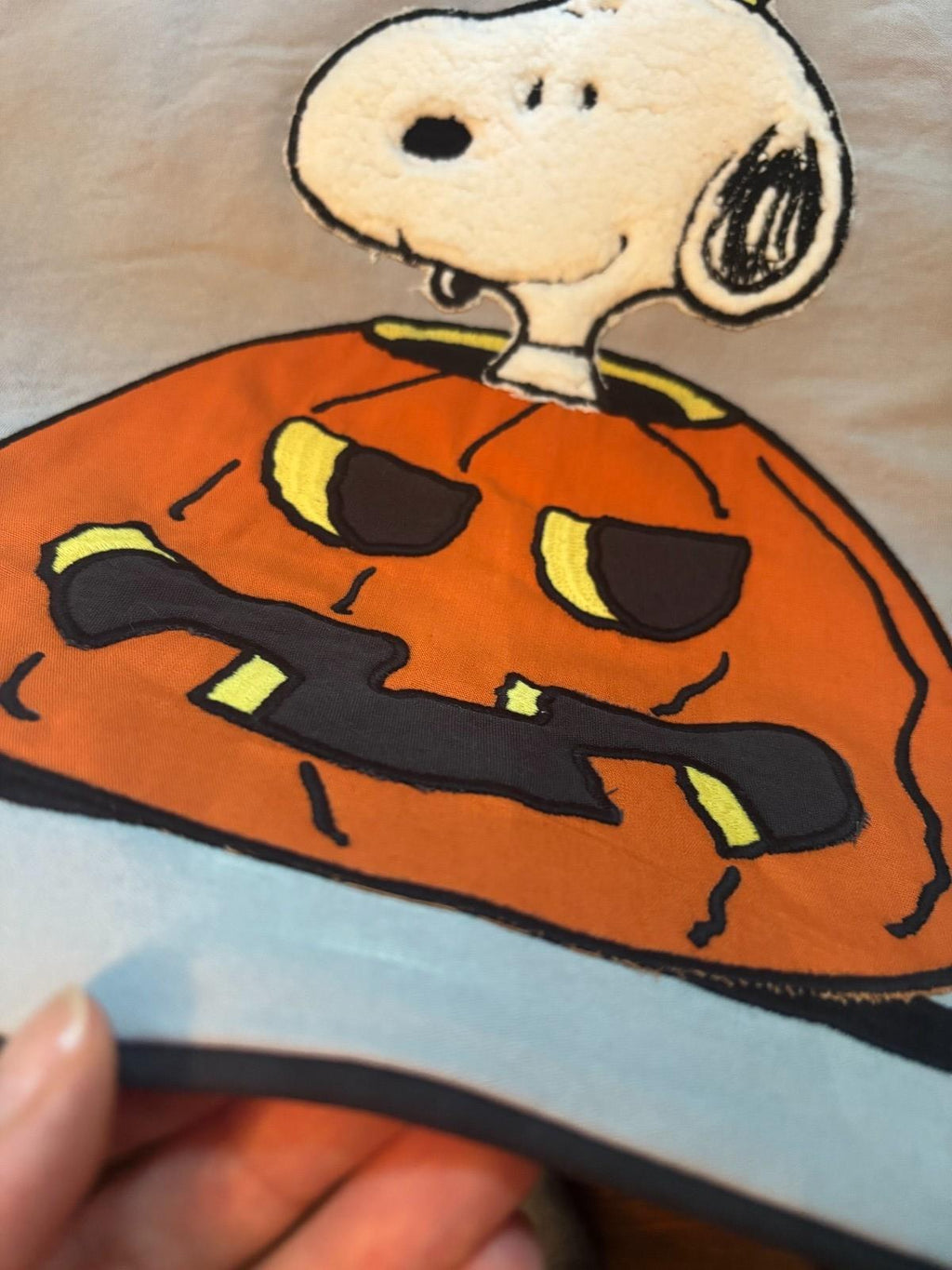 Pottery Barn Holiday Snoopy birthday charlie brown gift pillow sham wedding mom