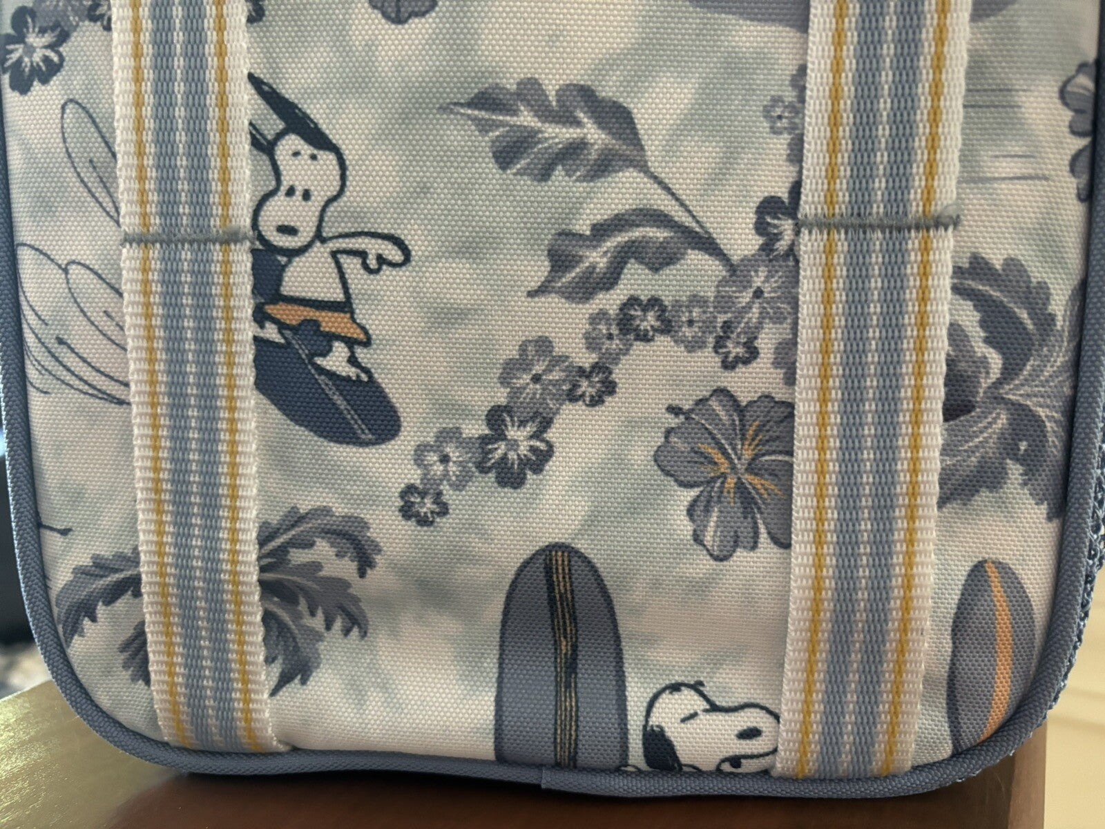 Pottery barn Snoopy school LUNCH BOX Bag Disney peanuts set Kids travel pre-k  /