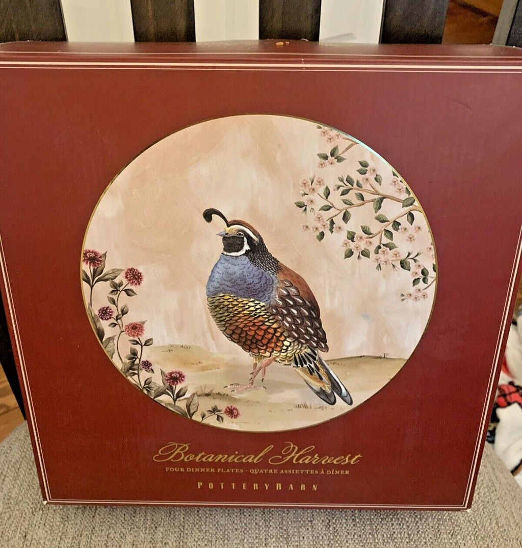 Pottery Barn plate Thanksgiving Disney Set 4 Turkey party gift holiday mom `