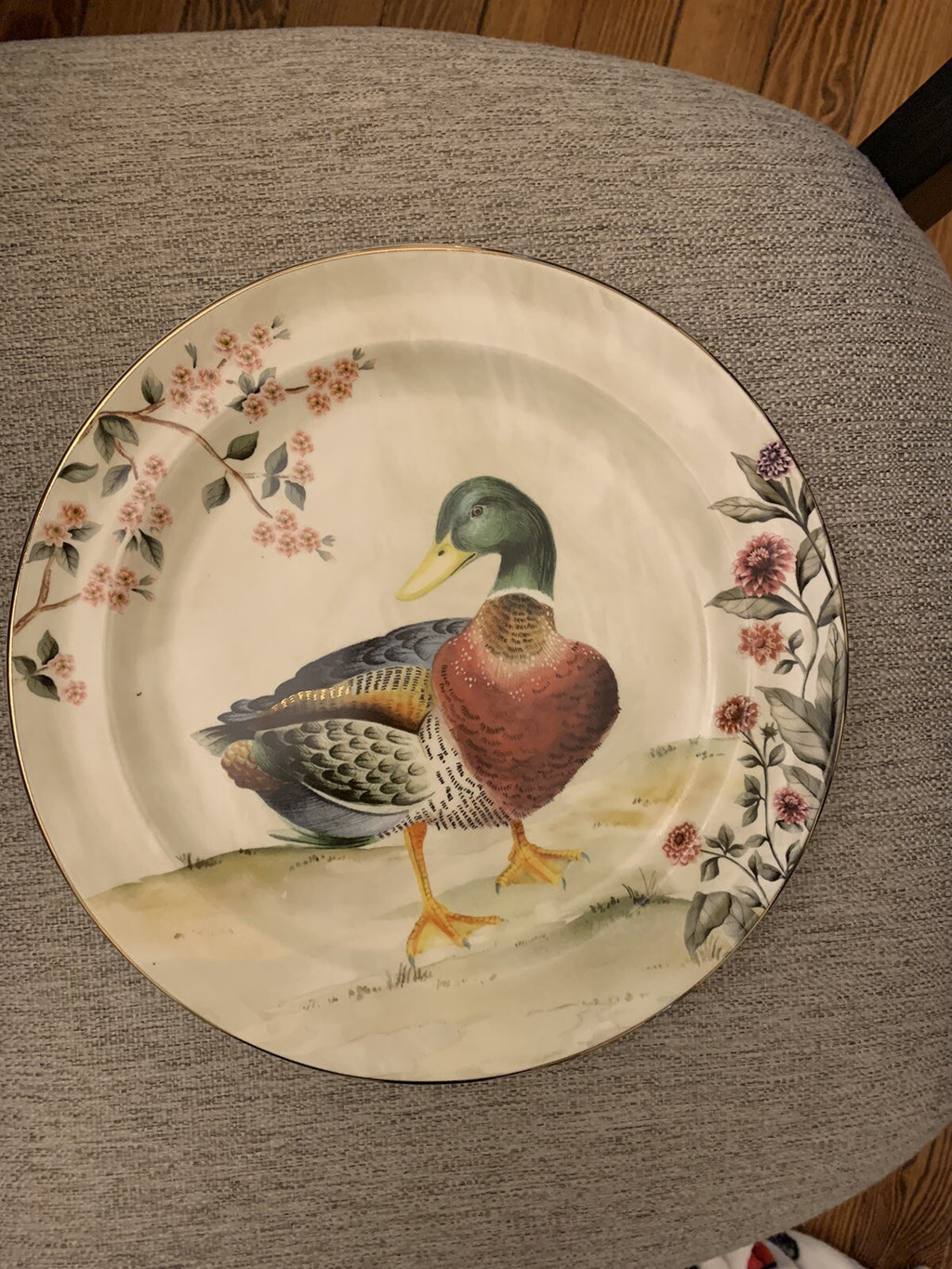 Pottery Barn plate Thanksgiving Disney Set 4 Turkey party gift holiday mom `