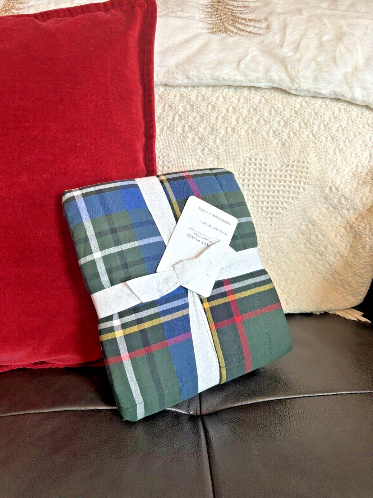 Pottery Barn Plaid Disney Holiday Pillow cover Stewart Sherpa lodge party gift /