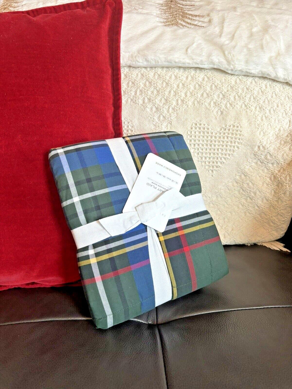 Pottery Barn Plaid Disney Holiday Pillow cover Stewart Sherpa lodge party gift /