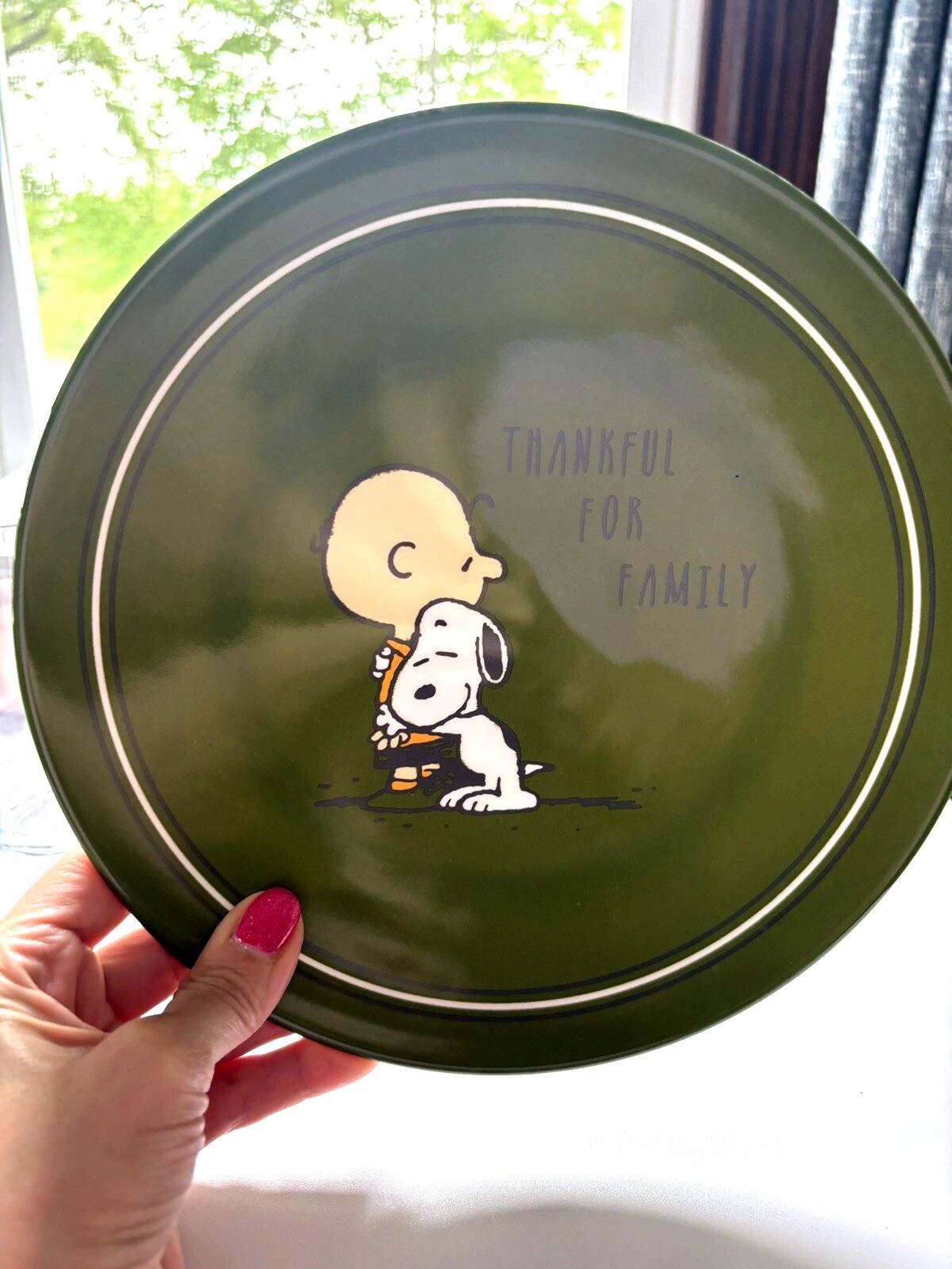 Disney Snoopy Pottery Barn Thanksgiving Holiday Peanuts Plate school kid gift B