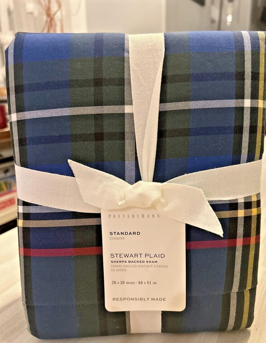 Pottery Barn Plaid Disney Holiday Pillow cover Stewart Sherpa lodge party gift /