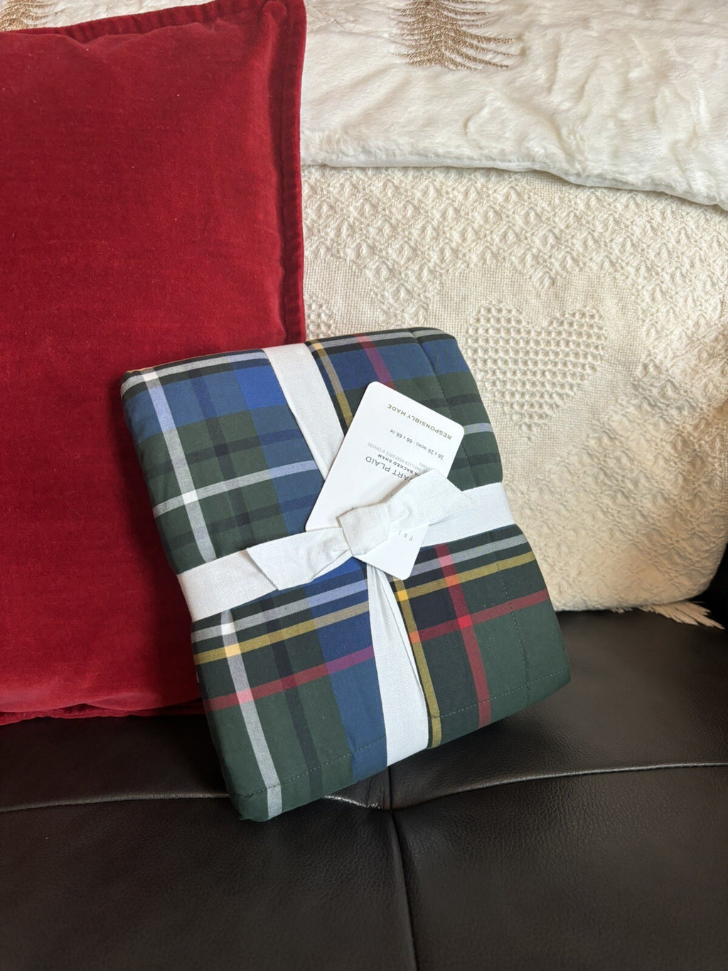 Pottery Barn Plaid Disney Holiday Pillow cover Stewart Sherpa lodge party gift /