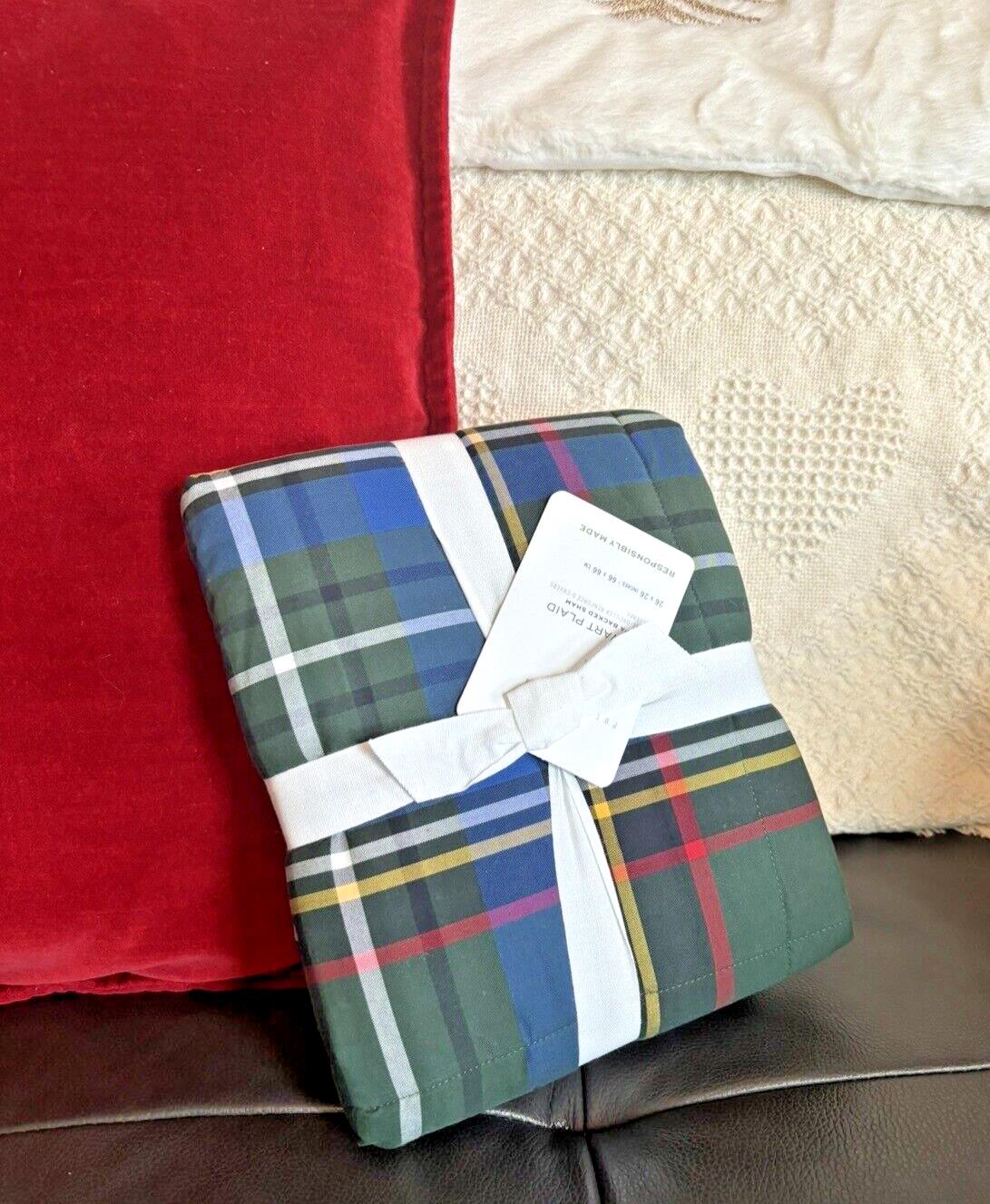 Pottery Barn Plaid Disney Holiday Pillow cover Stewart Sherpa lodge party gift /