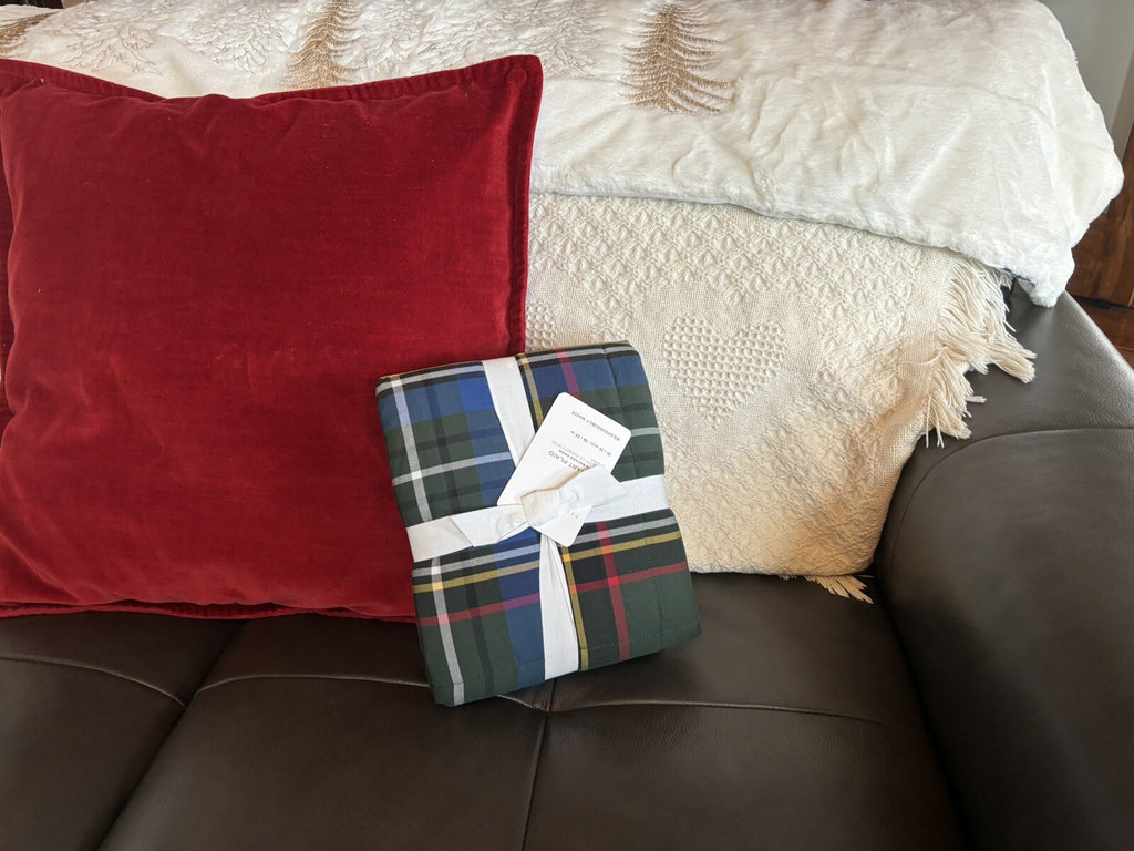 Pottery Barn Plaid Disney Holiday Pillow cover Stewart Sherpa lodge party gift /