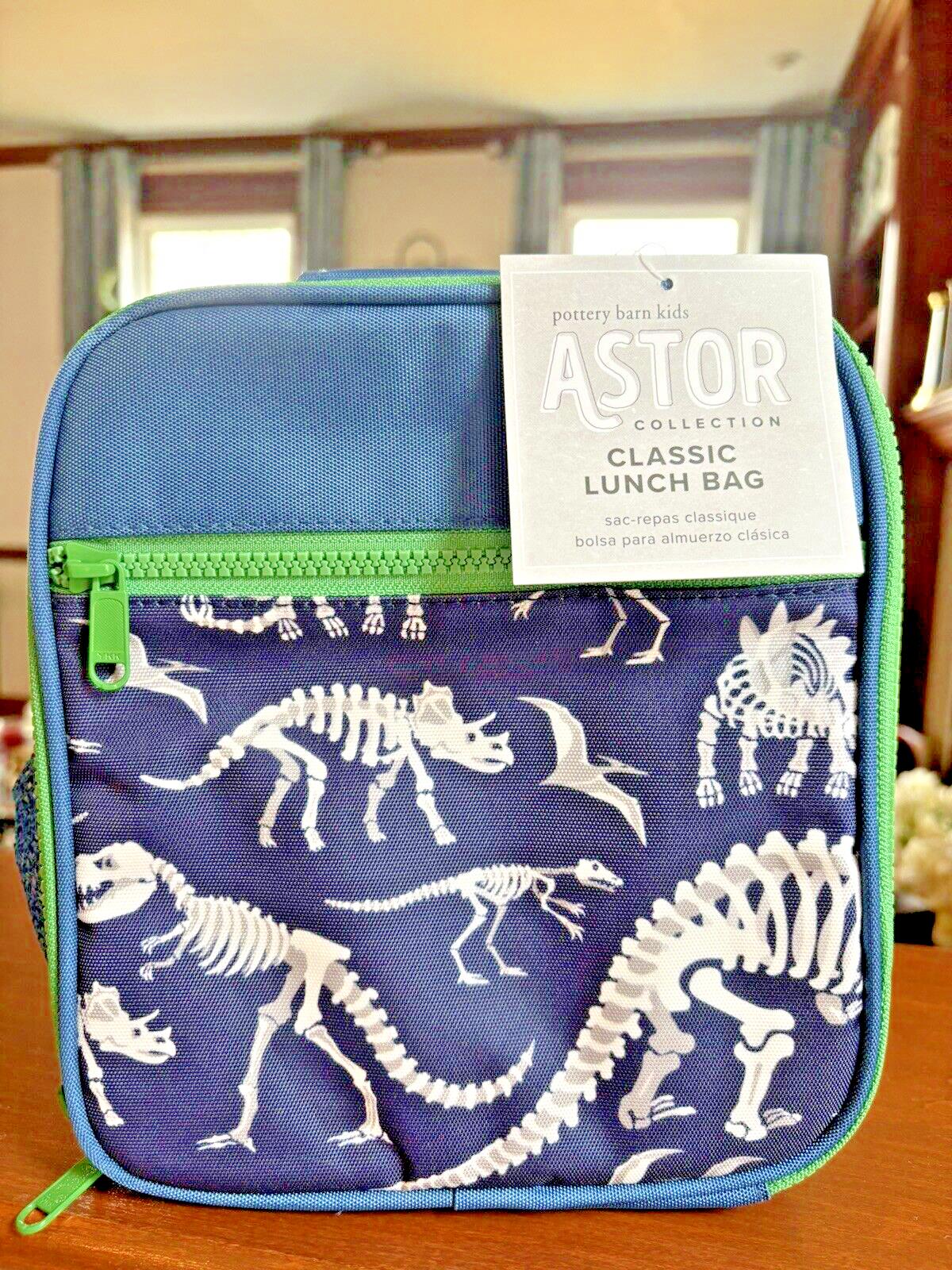 Pottery barn Disney School boy Dinosaur travel Lunch Bag Jurassic gift set kid /
