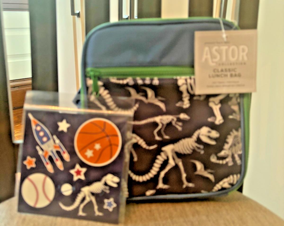 Pottery barn Disney School boy Dinosaur travel Lunch Bag Jurassic gift set kid /